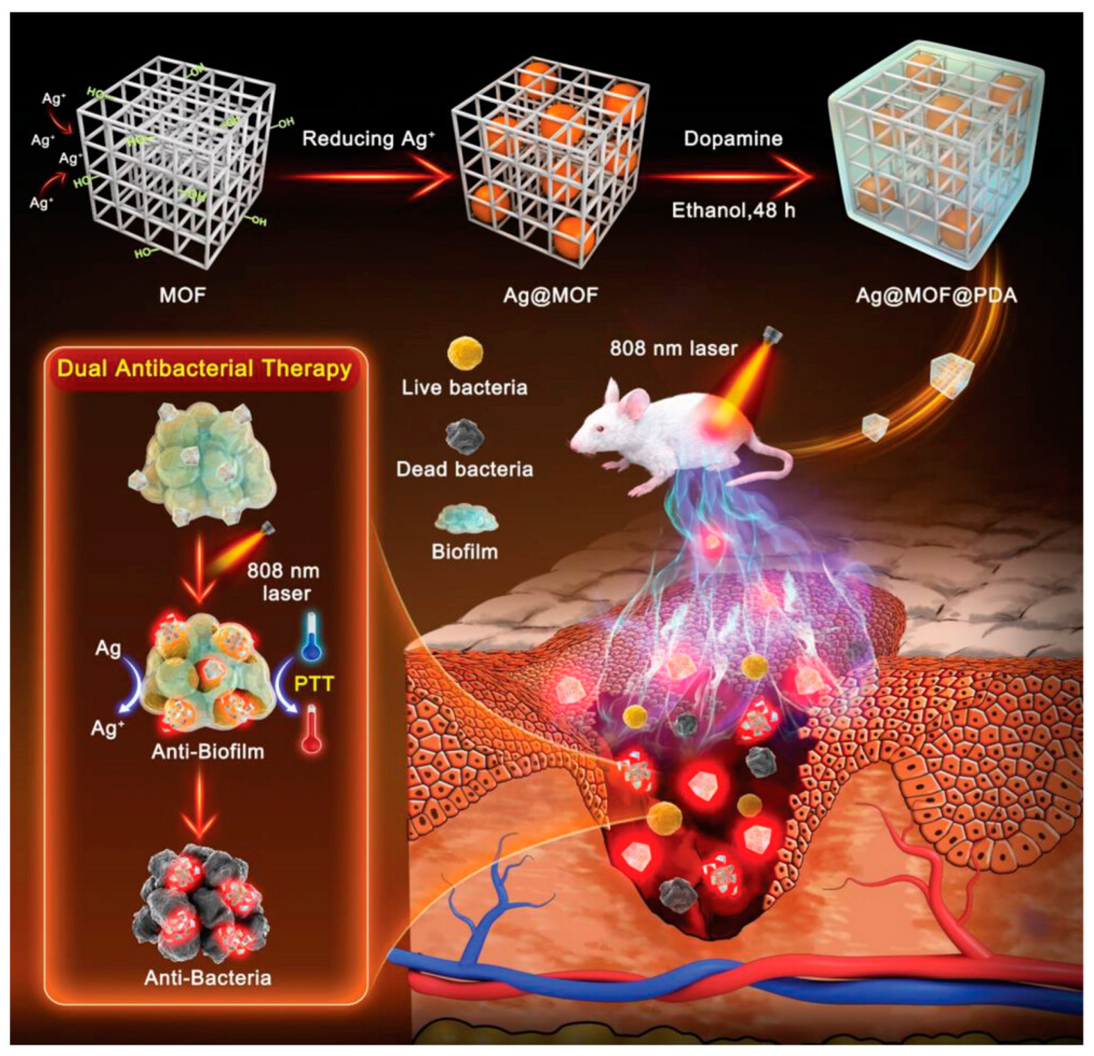 Nanomaterials 13 02725 g016 Nanomaterials 13 02725 g016