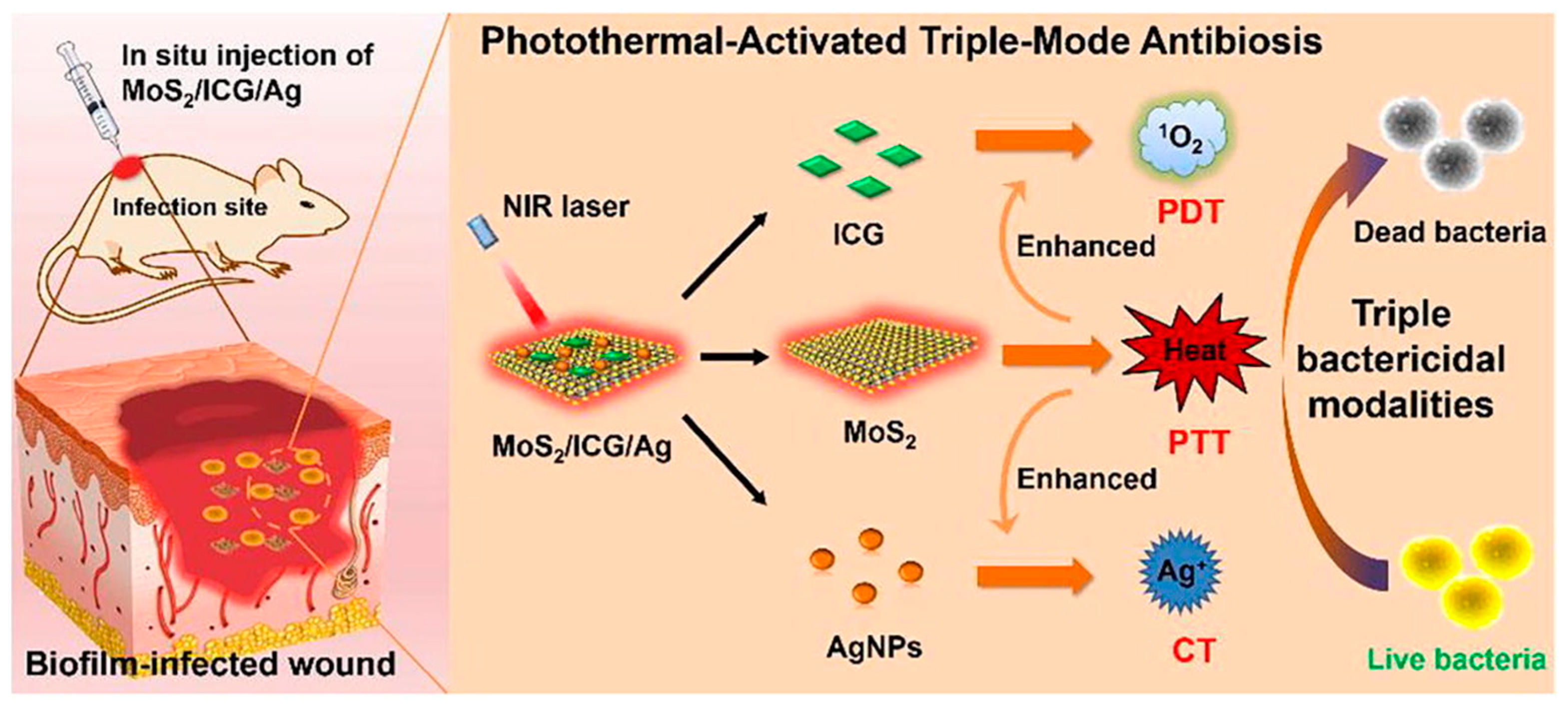 Nanomaterials 13 02725 g017 Nanomaterials 13 02725 g017