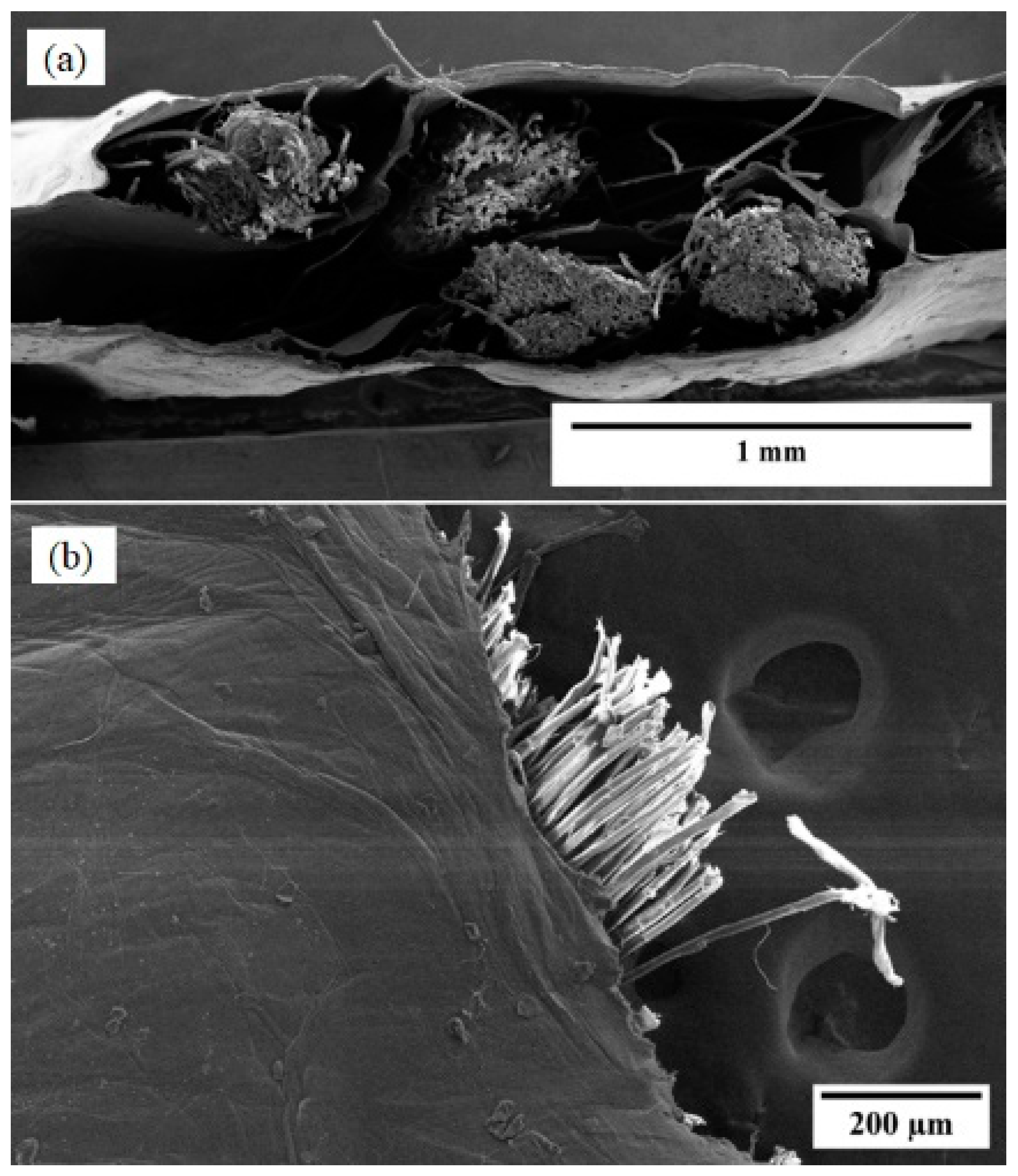 Nanomaterials 13 02728 g011