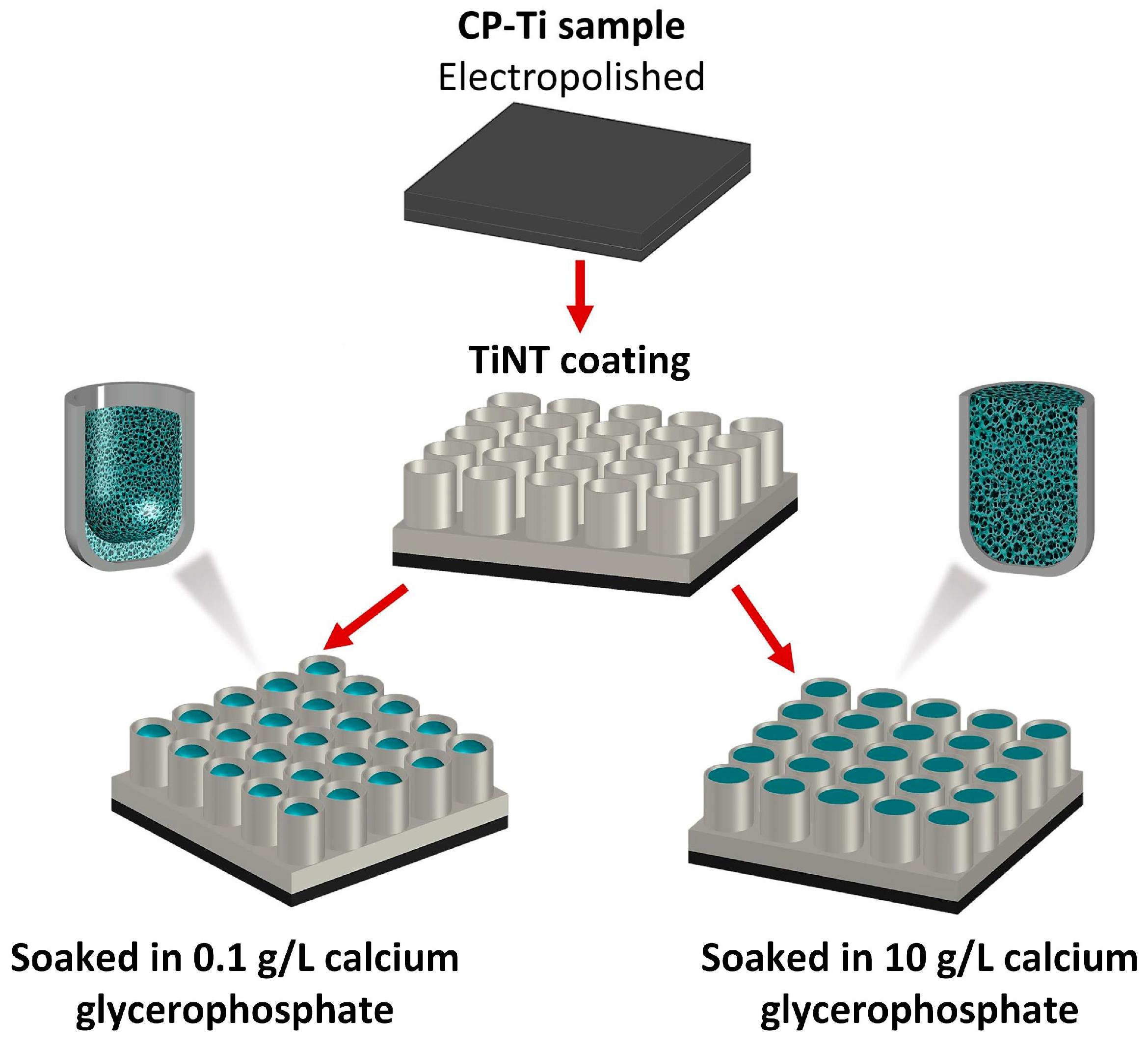 Nanomaterials 13 02743 g001