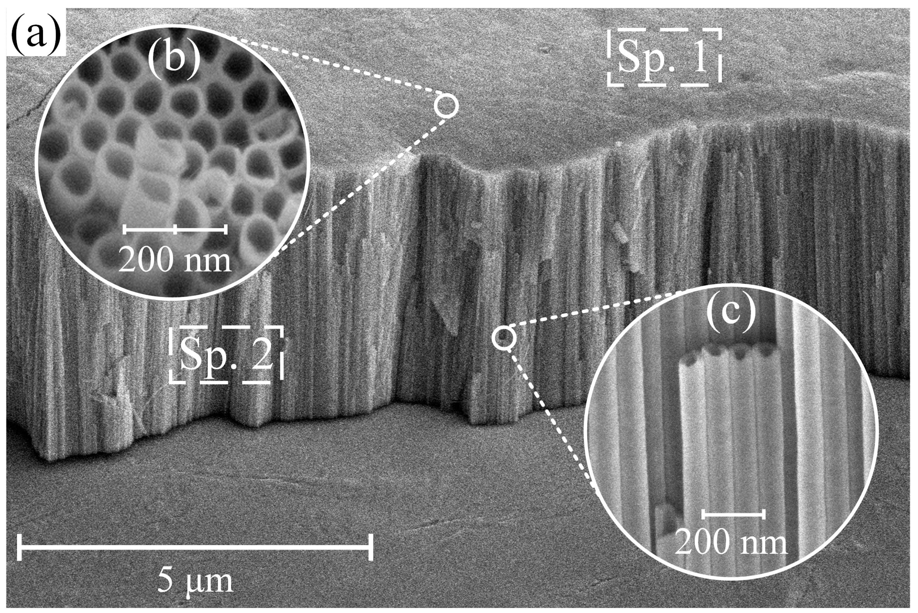 Nanomaterials 13 02743 g003
