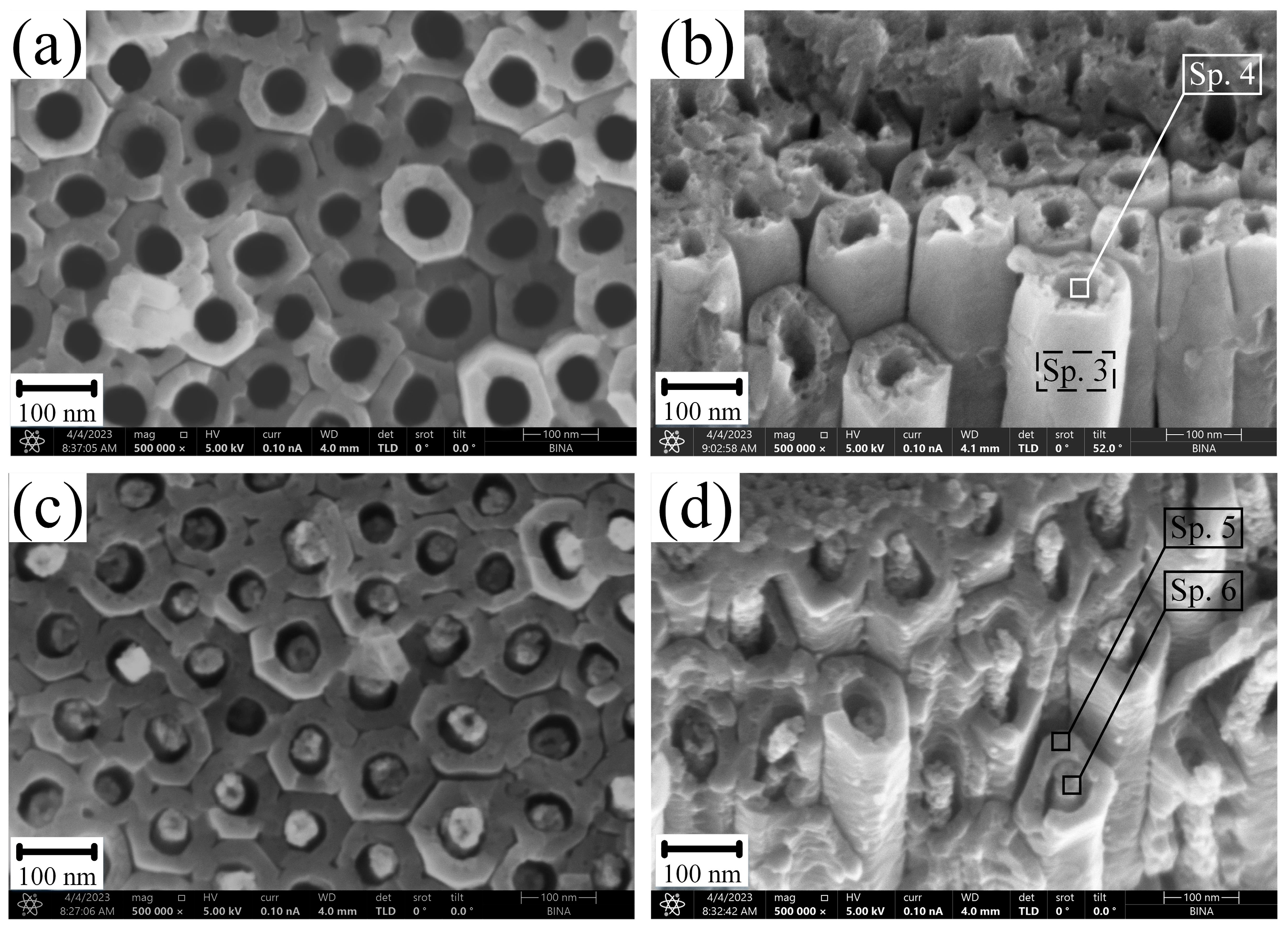 Nanomaterials 13 02743 g004