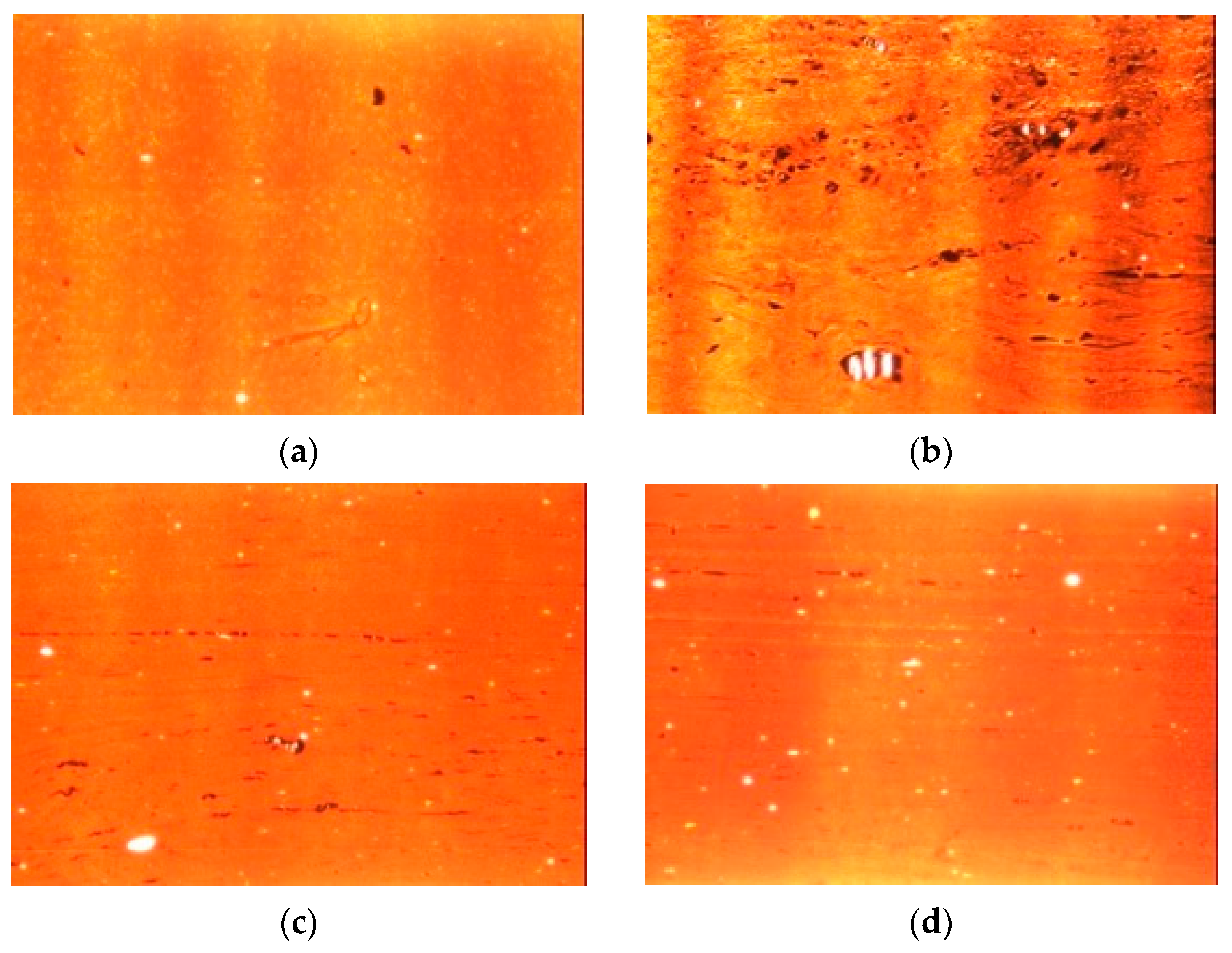 Nanomaterials 13 02761 g010
