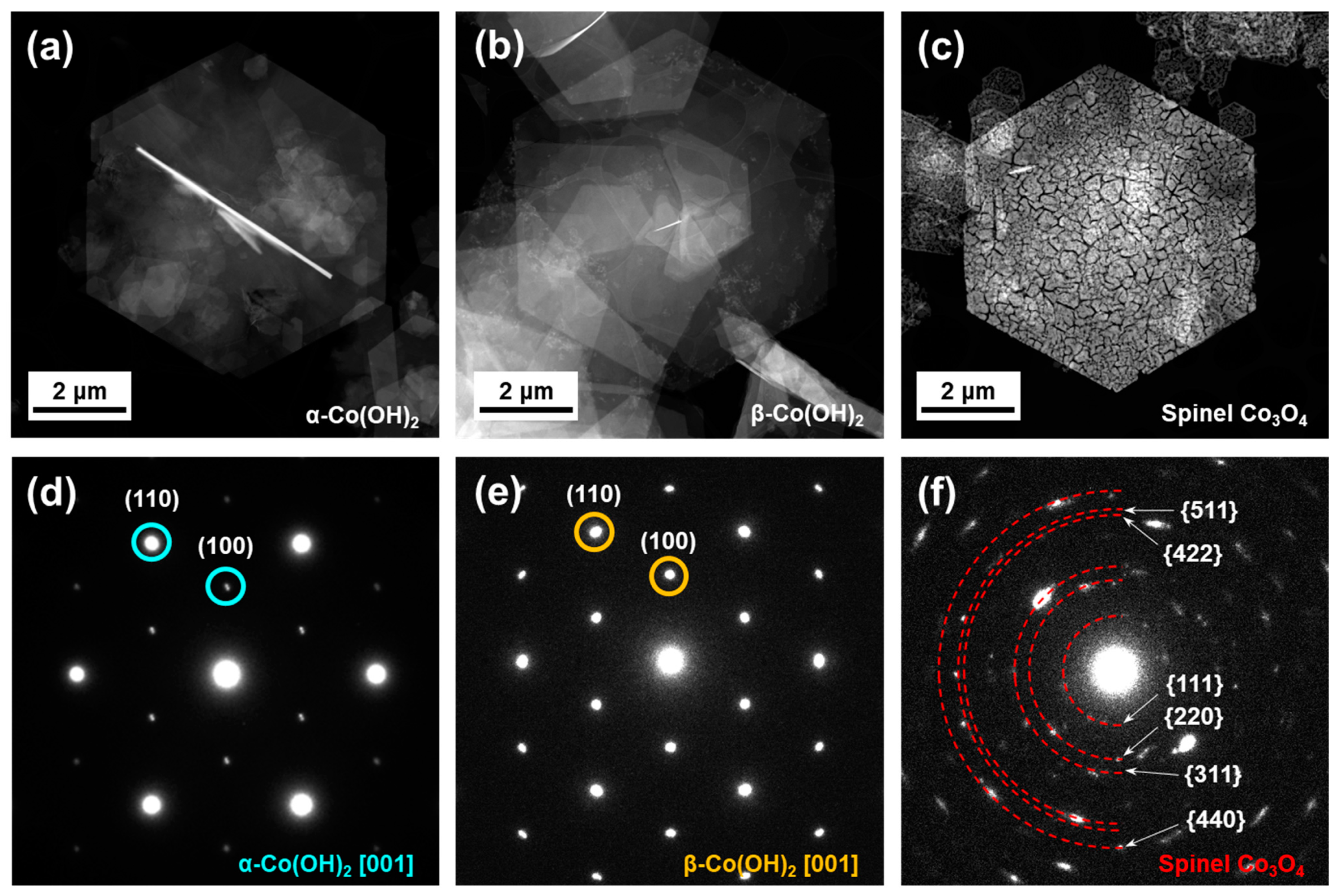 Nanomaterials 13 02767 g001