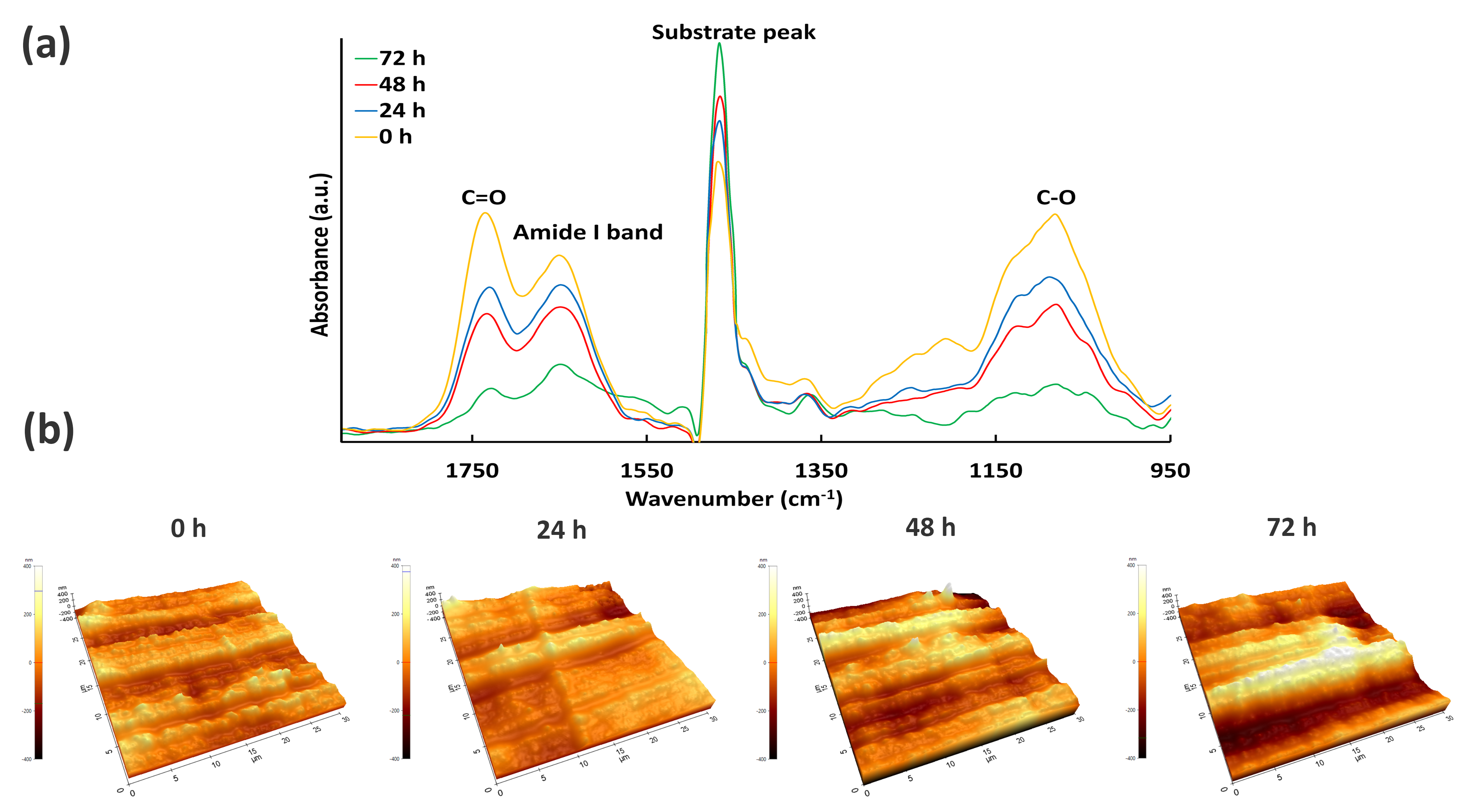 Nanomaterials 13 02774 g009