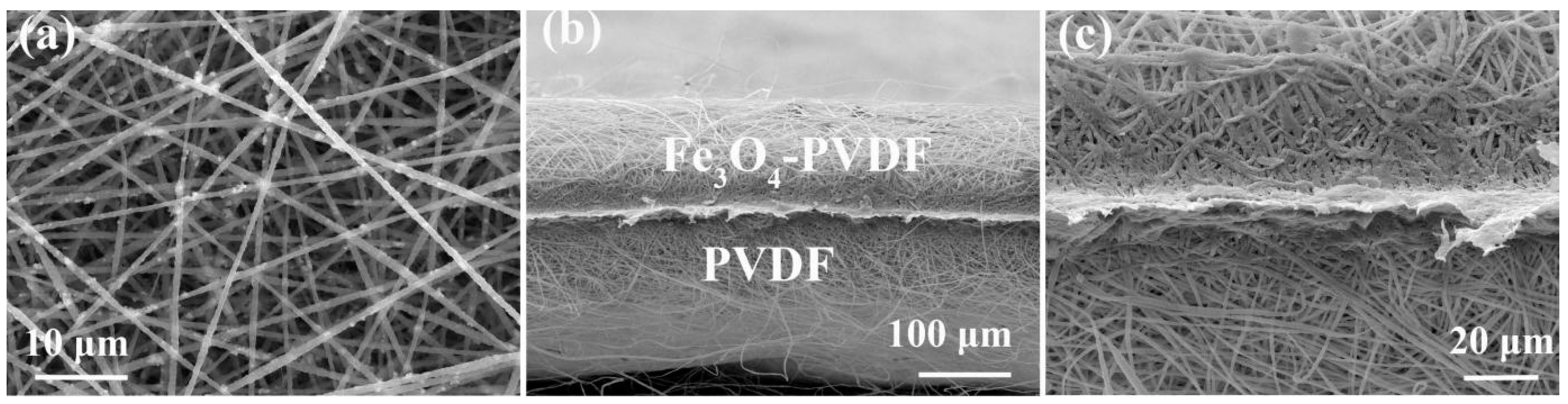Nanomaterials 13 02782 g001 Nanomaterials 13 02782 g001