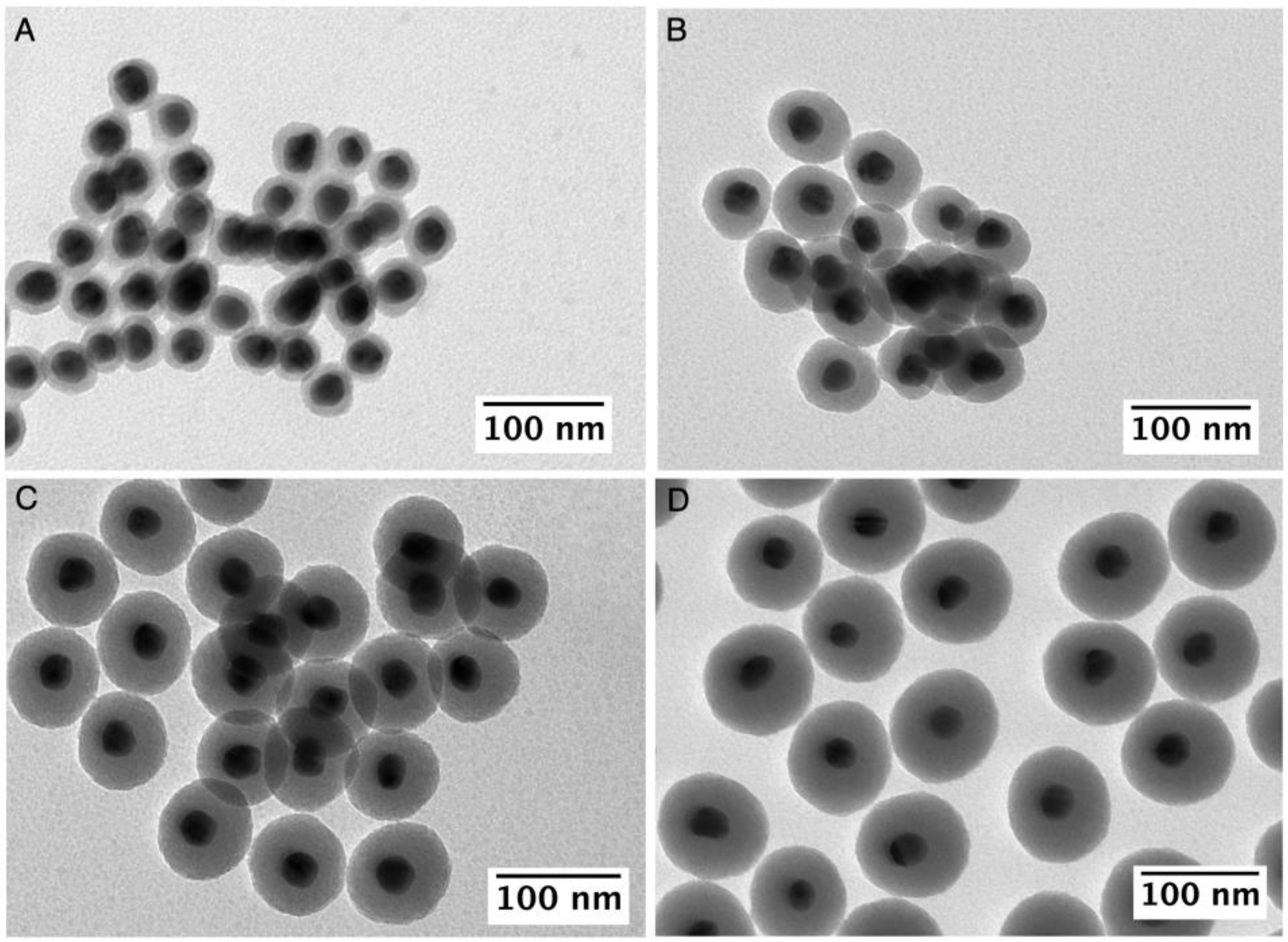 Nanomaterials 13 02788 g001