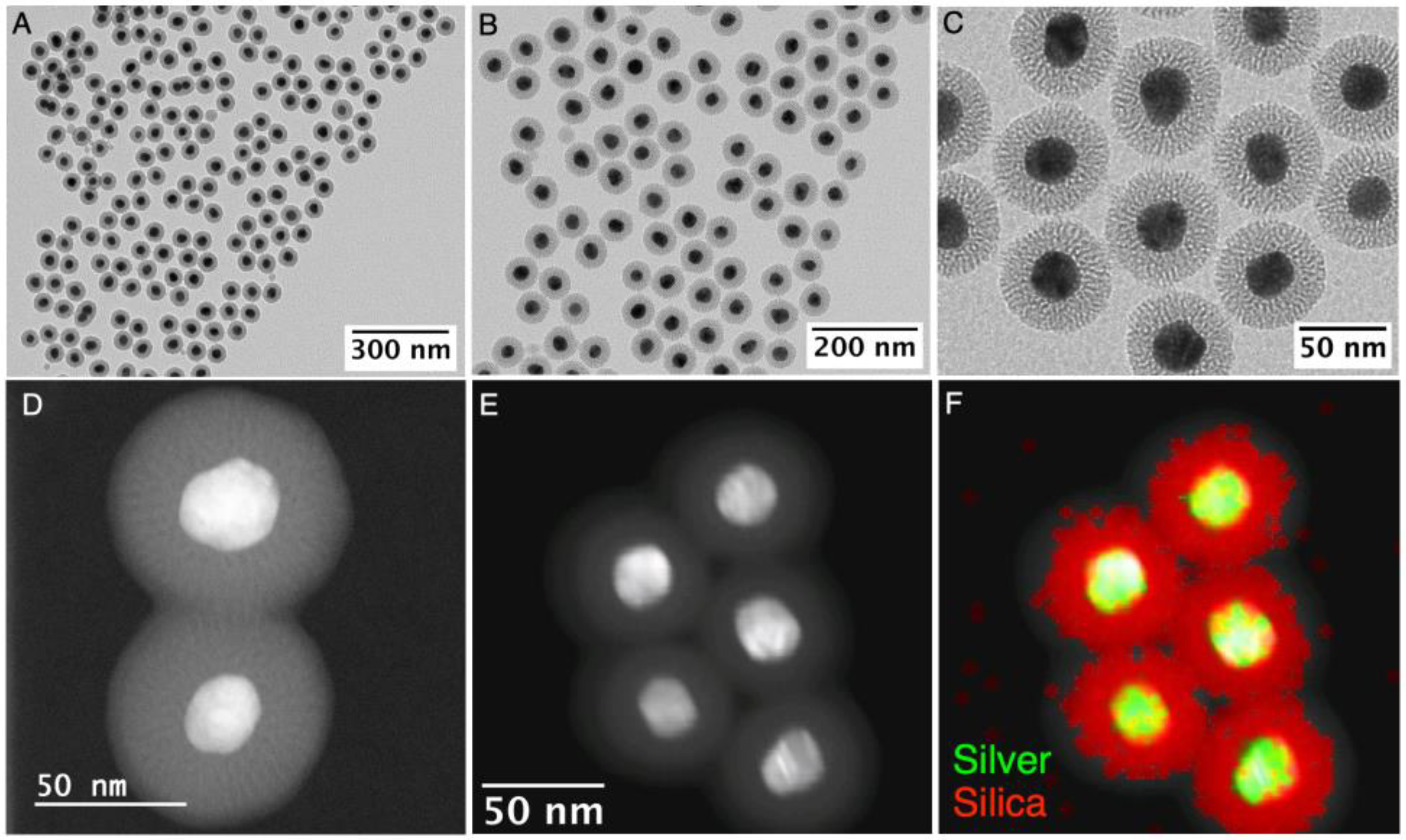 Nanomaterials 13 02788 g002