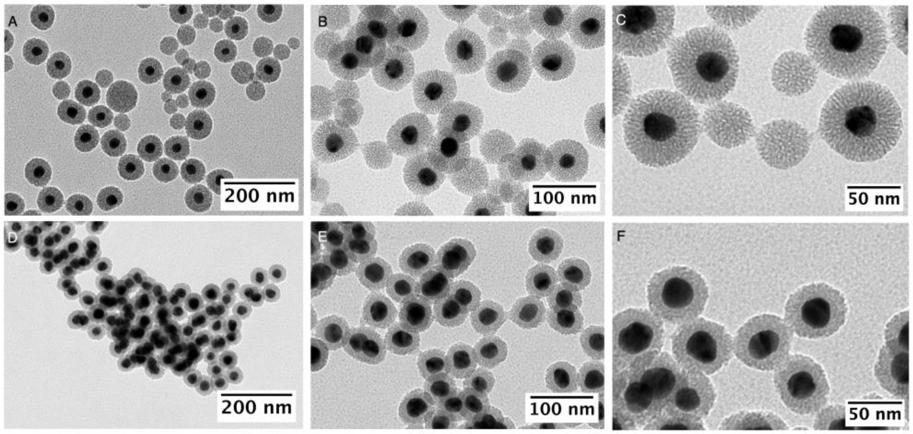 Nanomaterials 13 02788 g004