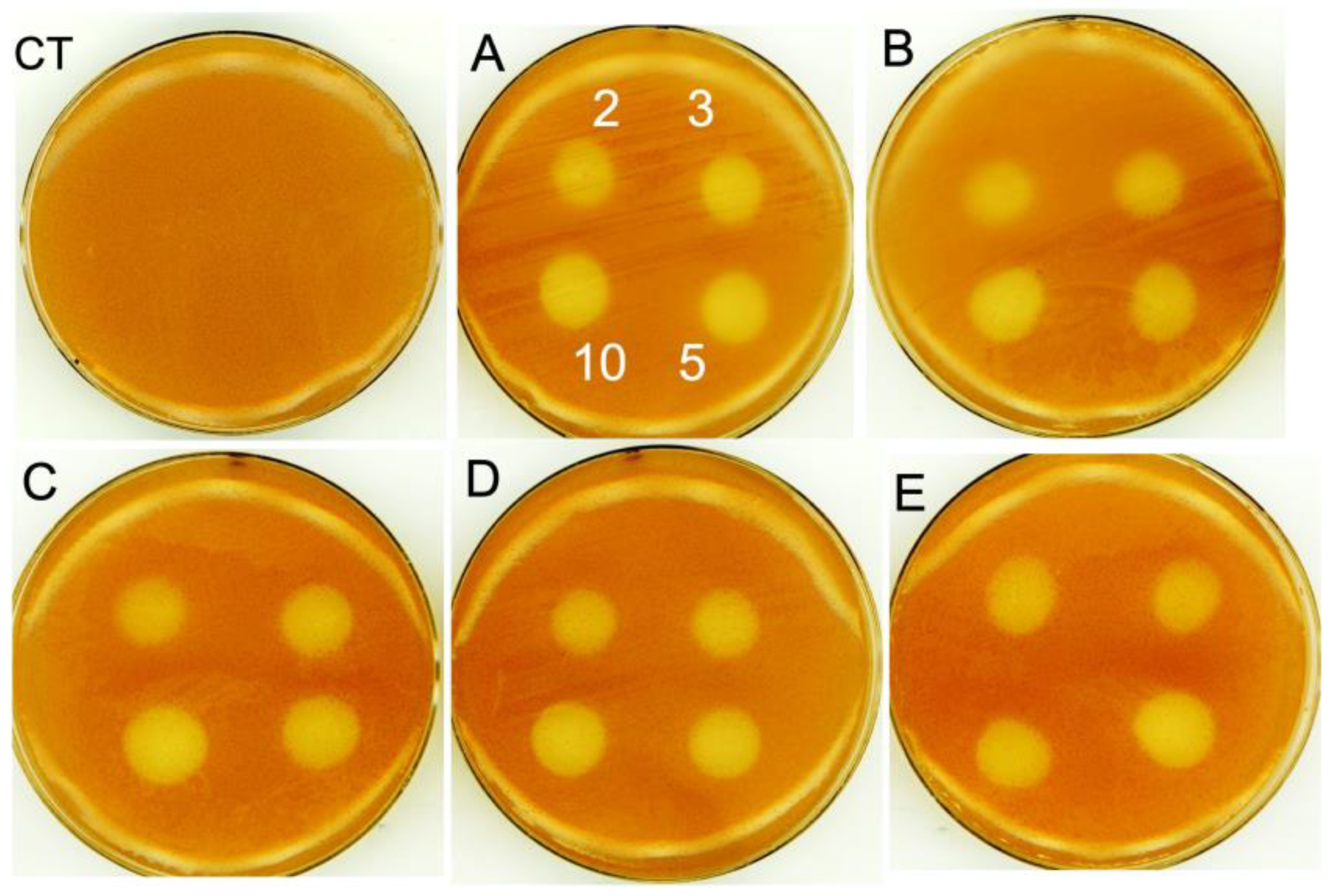 Nanomaterials 13 02788 g006