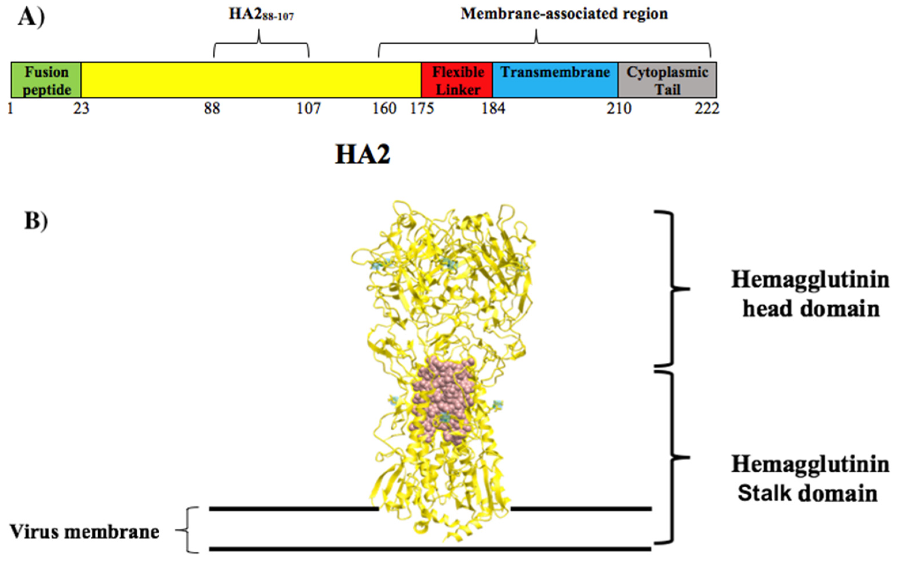 Nanomaterials 13 02796 g003 Nanomaterials 13 02796 g003