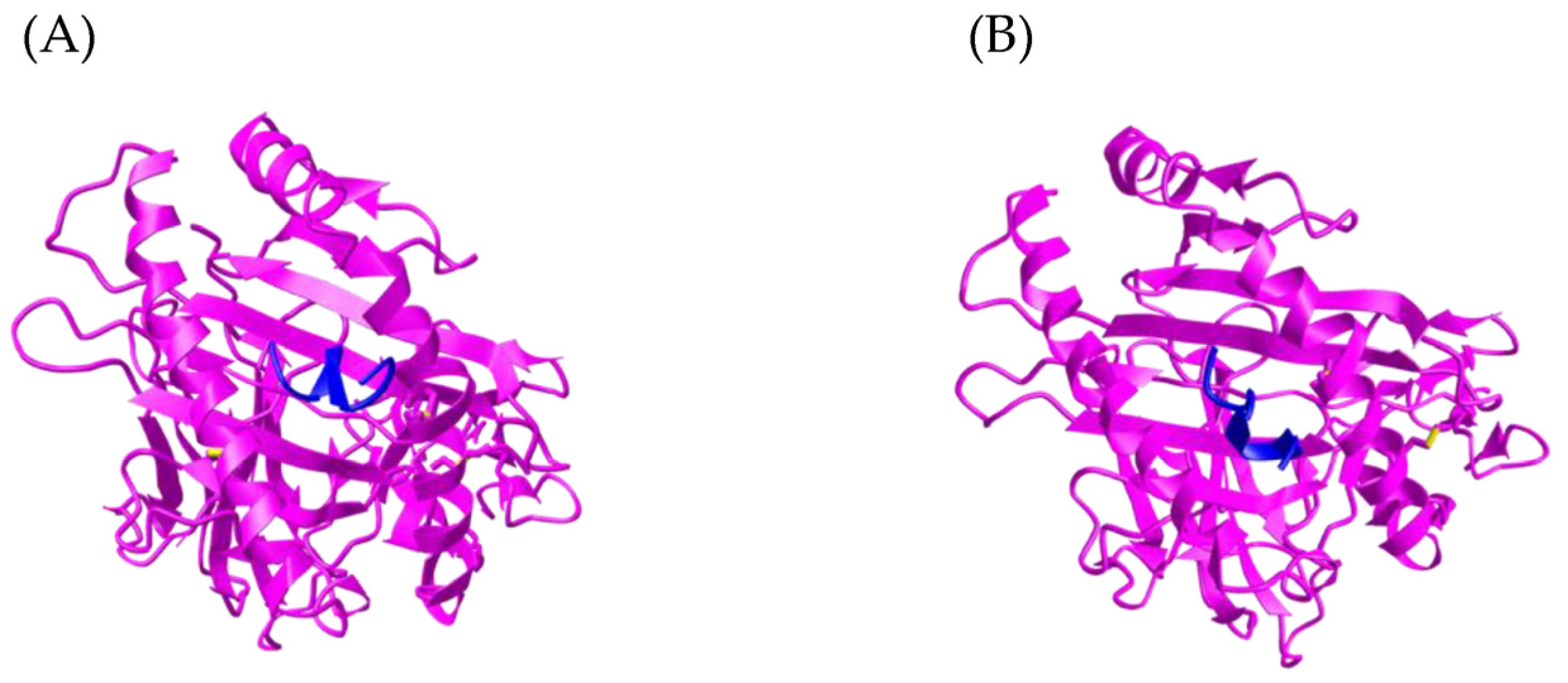 Nanomaterials 13 02796 g007 Nanomaterials 13 02796 g007