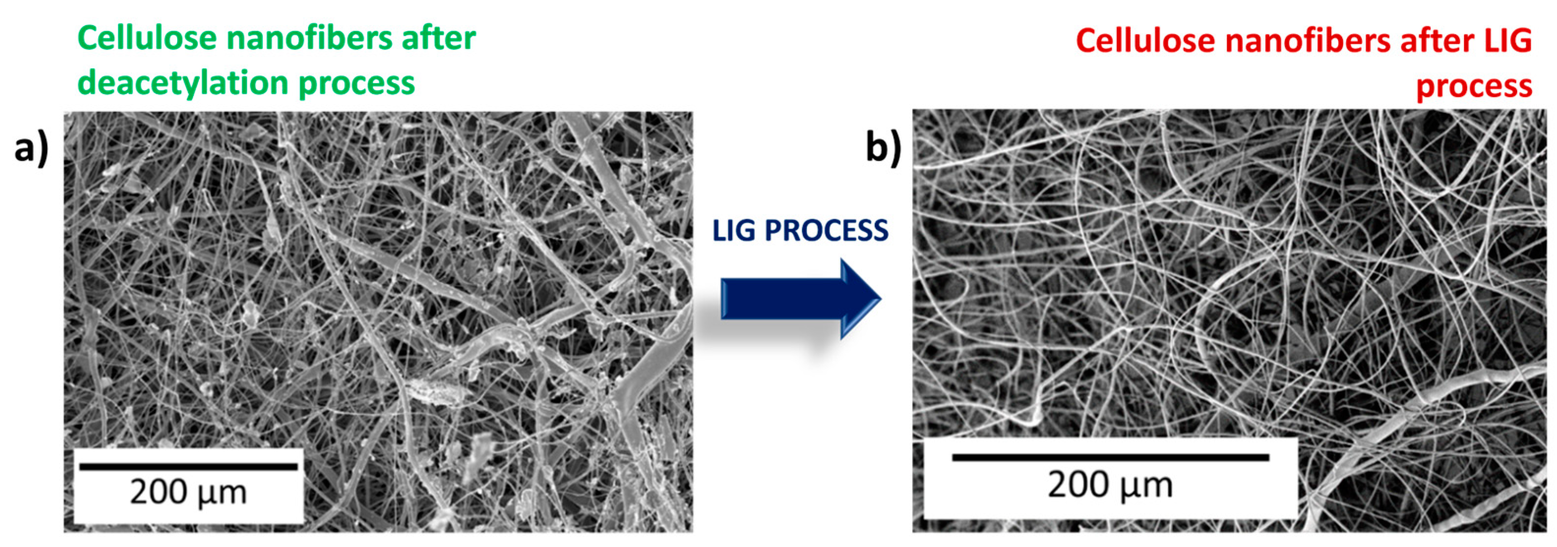 Nanomaterials 13 02801 g001 Nanomaterials 13 02801 g001