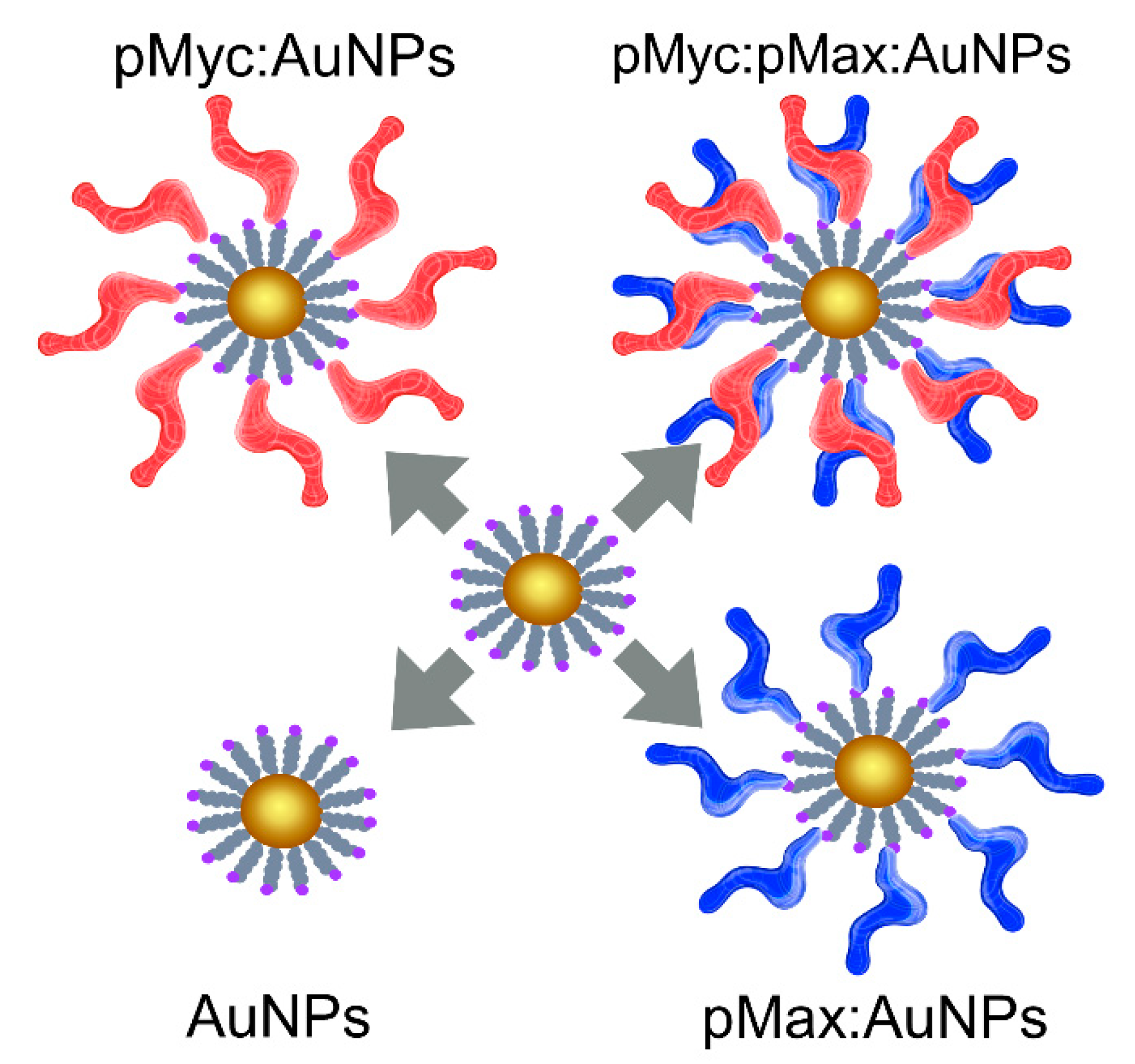 Nanomaterials 13 02802 g002