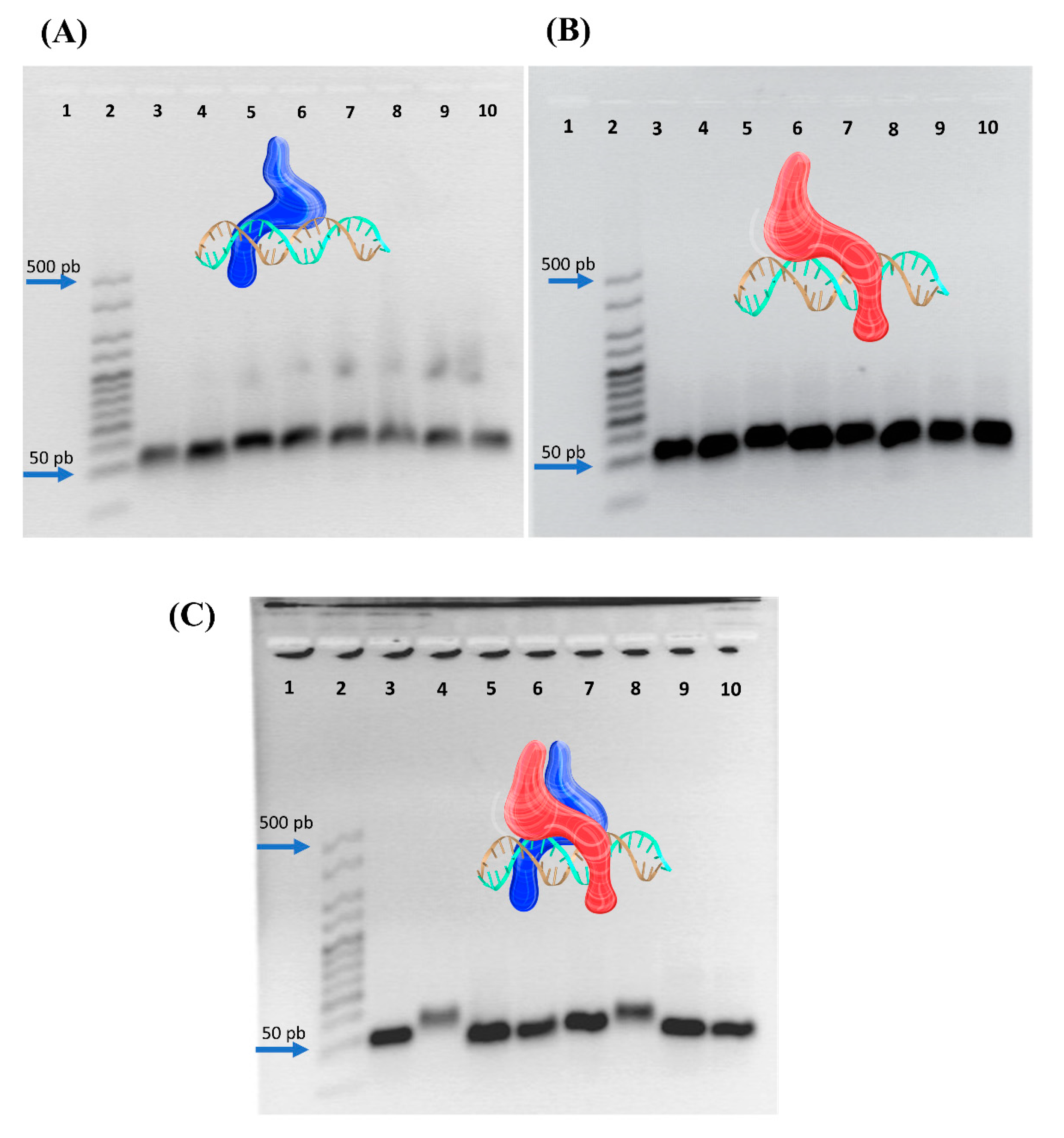 Nanomaterials 13 02802 g003