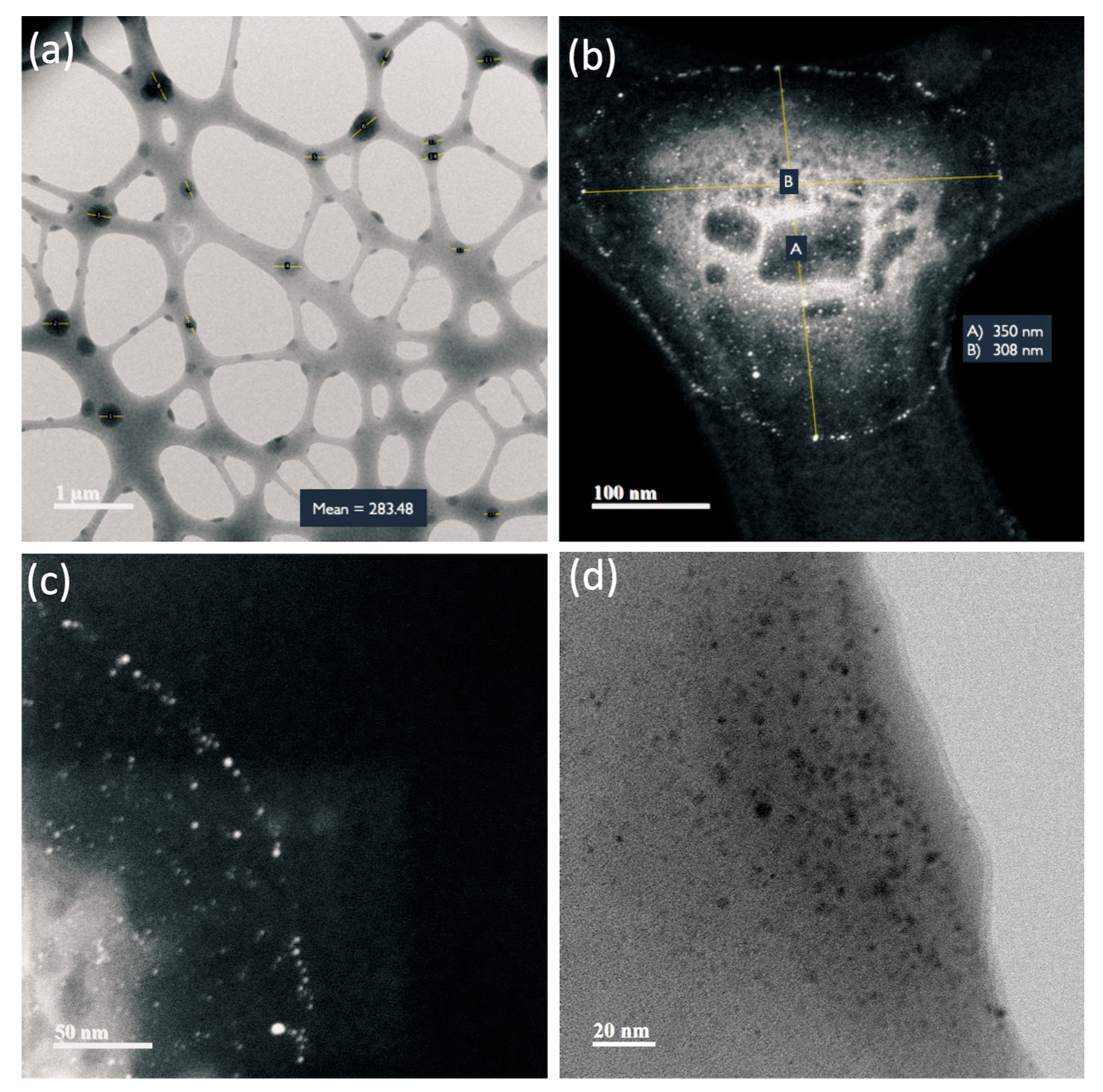 Nanomaterials 13 02802 g006