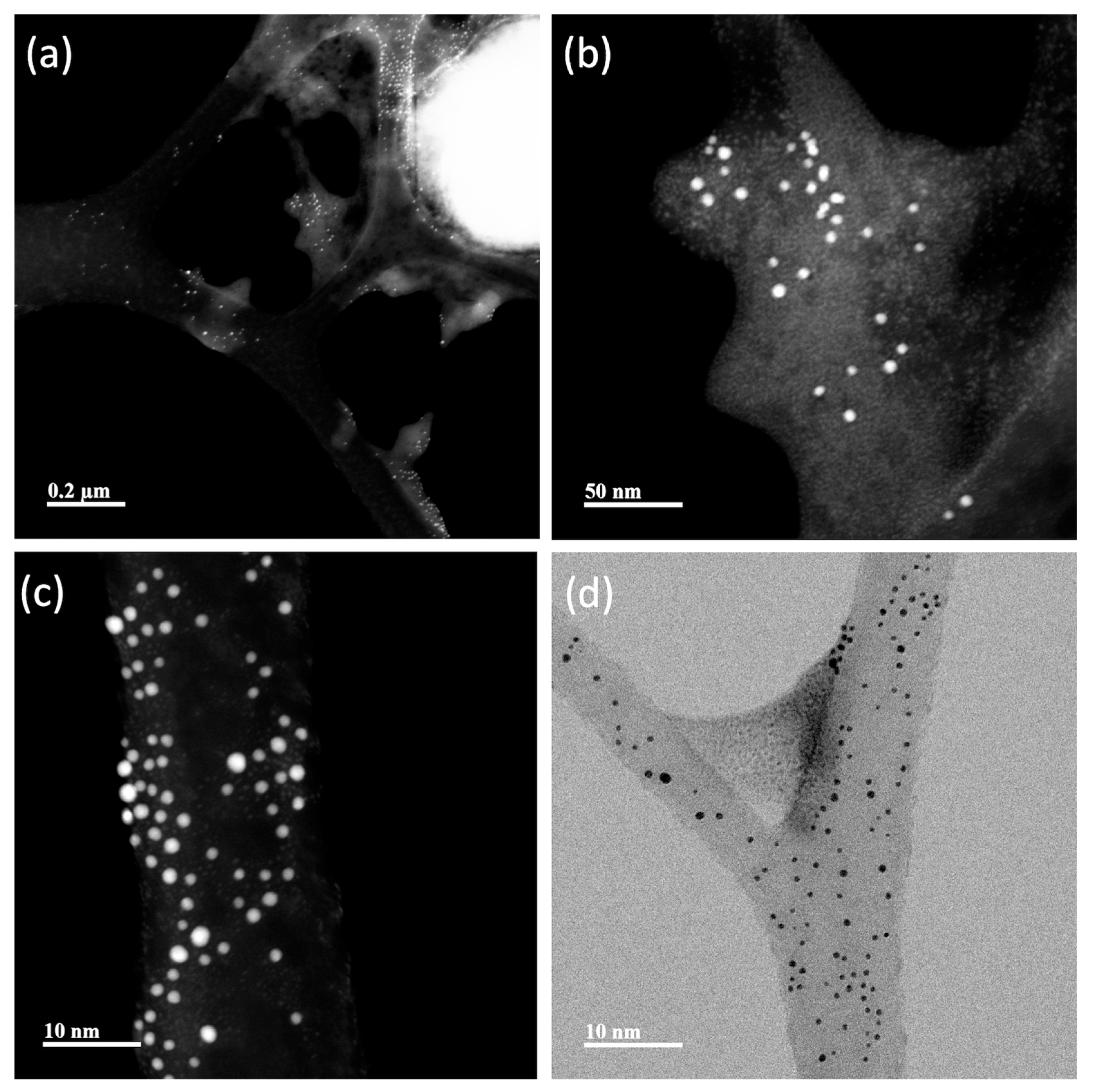 Nanomaterials 13 02802 g007