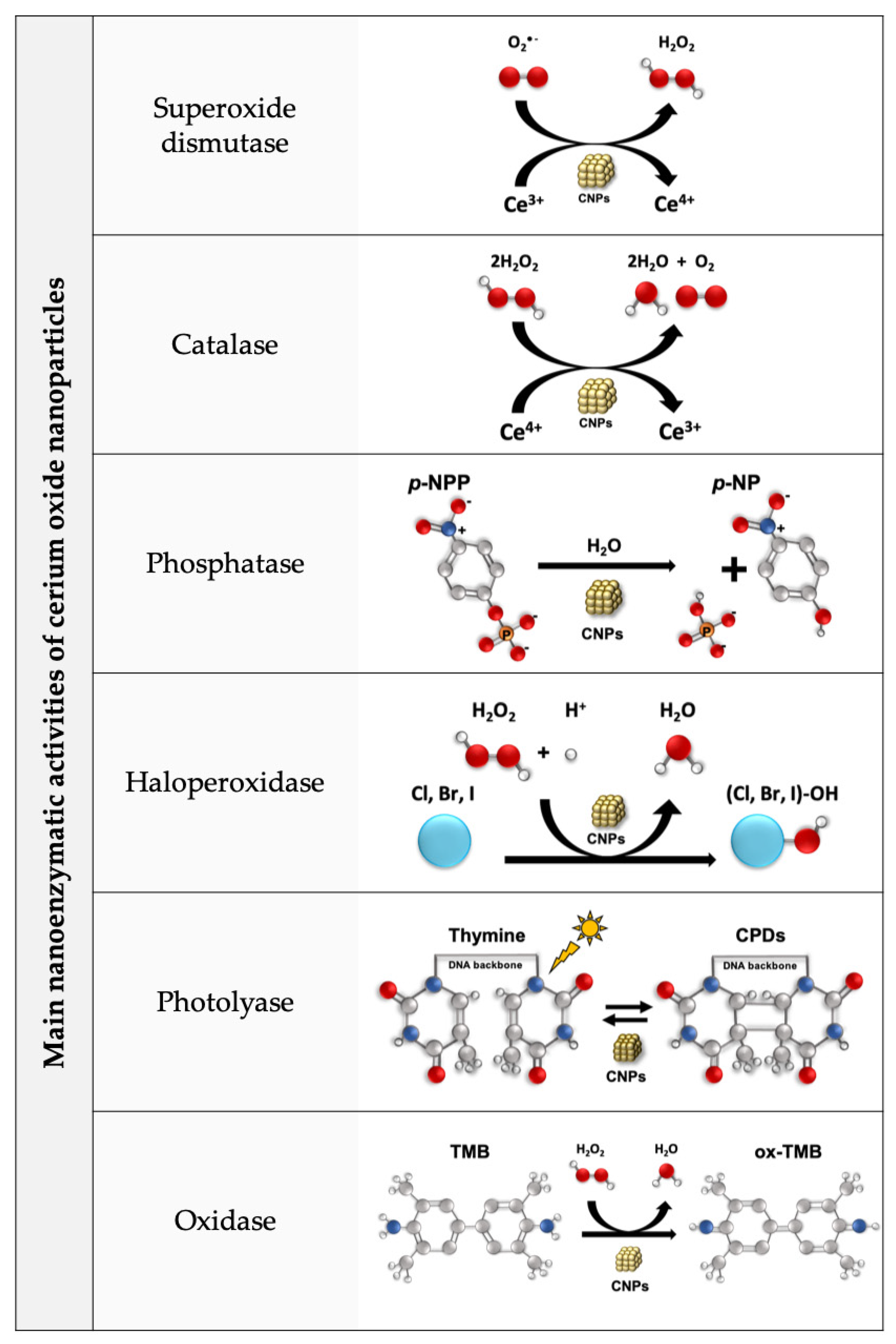 Nanomaterials 13 02803 g001