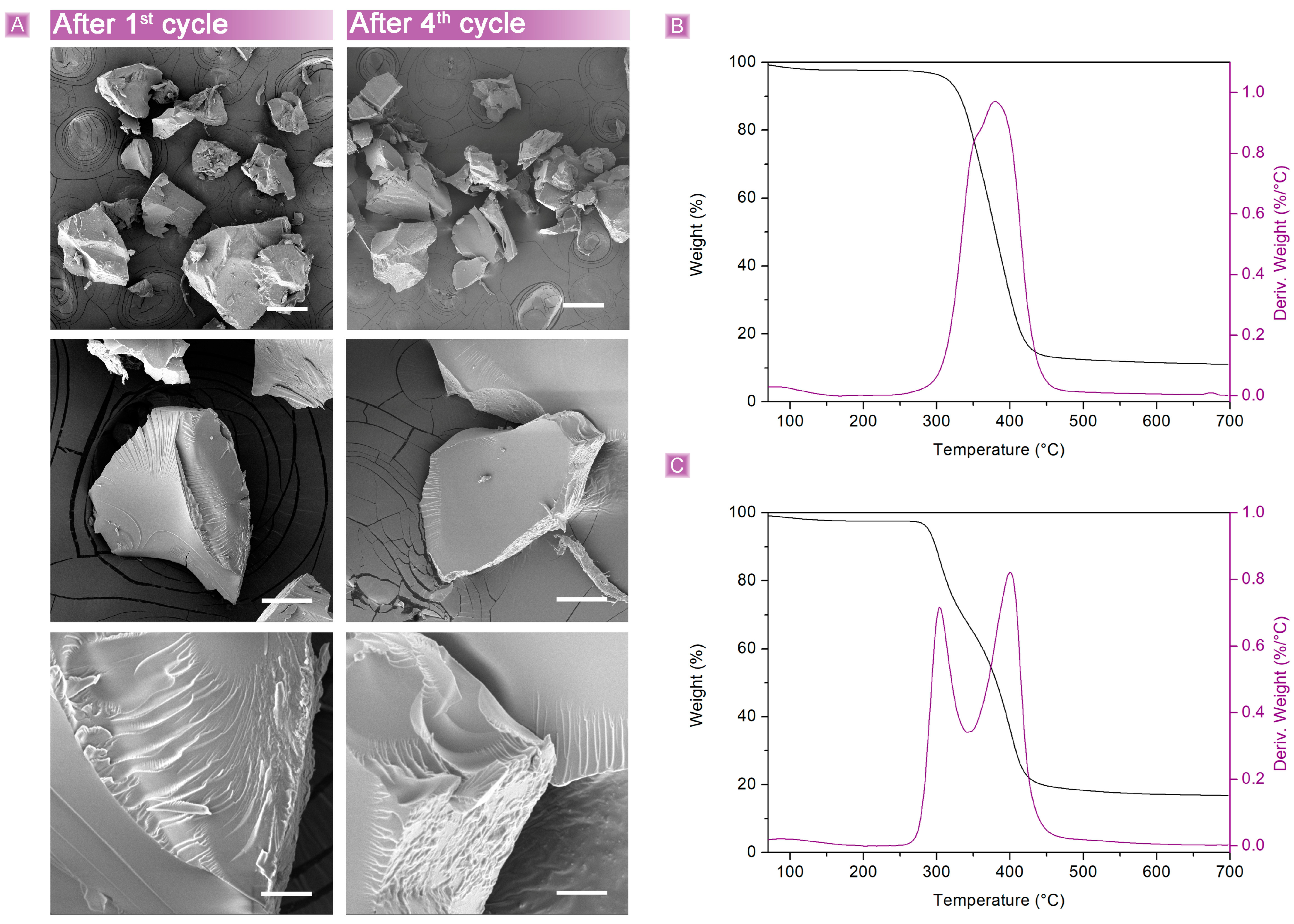 Nanomaterials 13 02805 g012