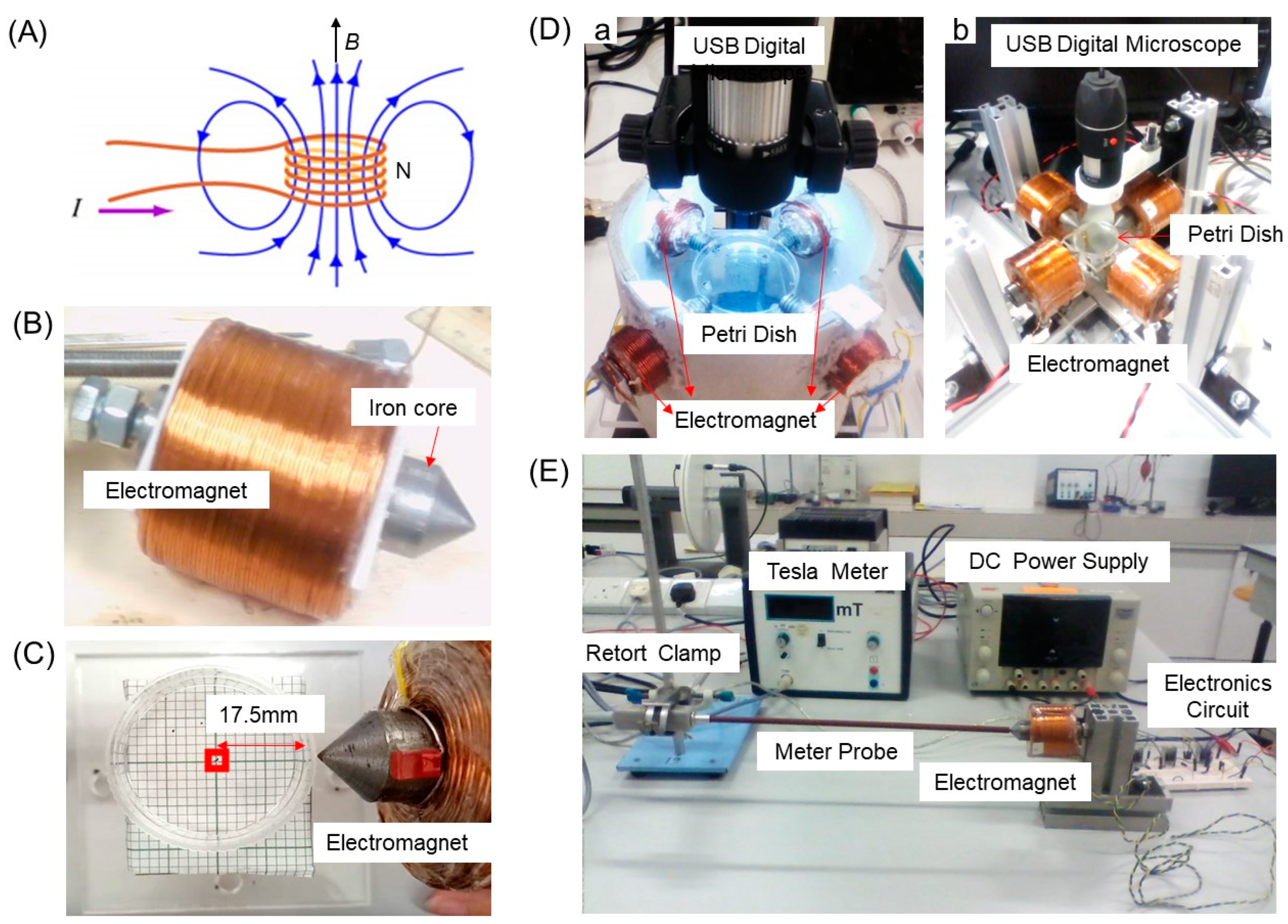 Nanomaterials 13 02806 g001
