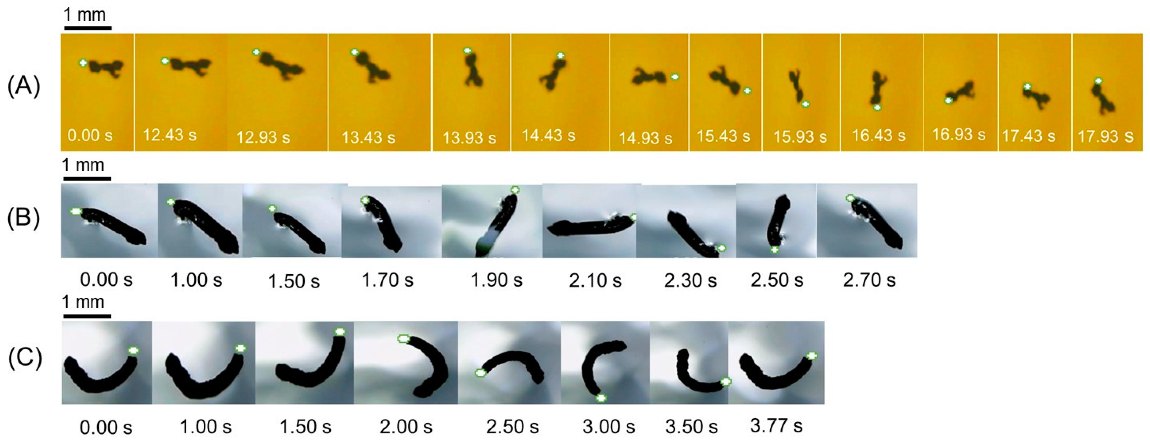 Nanomaterials 13 02806 g004