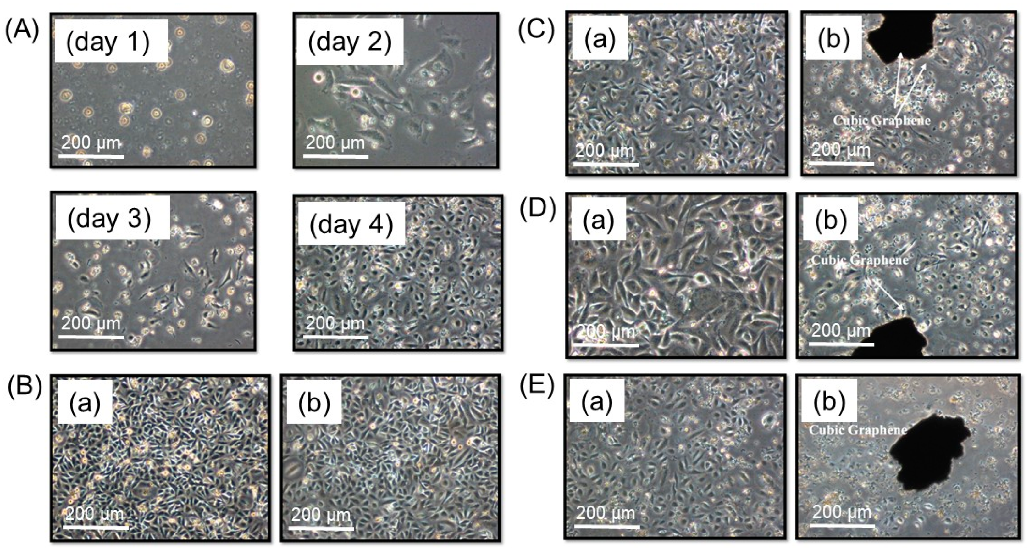 Nanomaterials 13 02806 g008