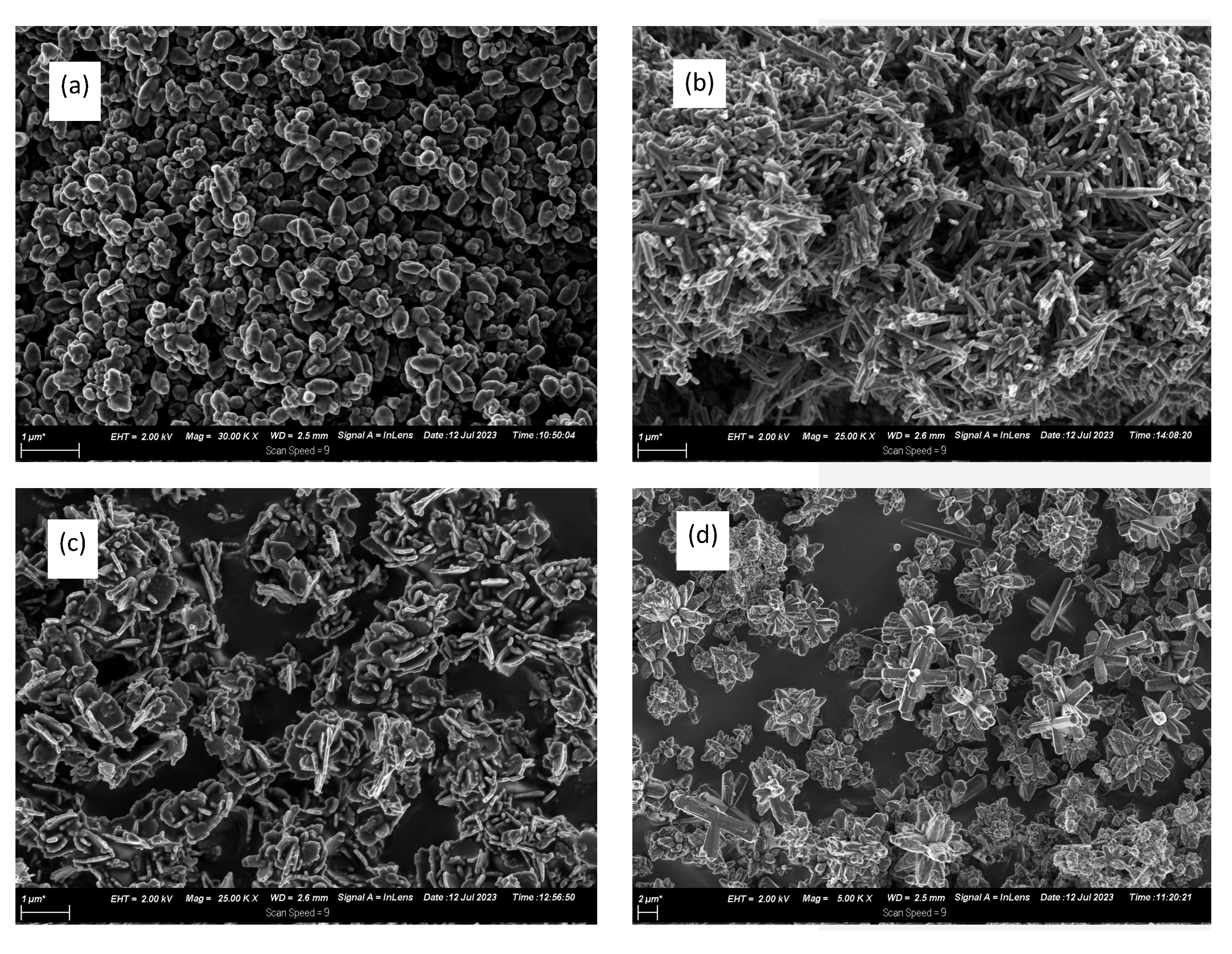 Nanomaterials 13 02810 g007