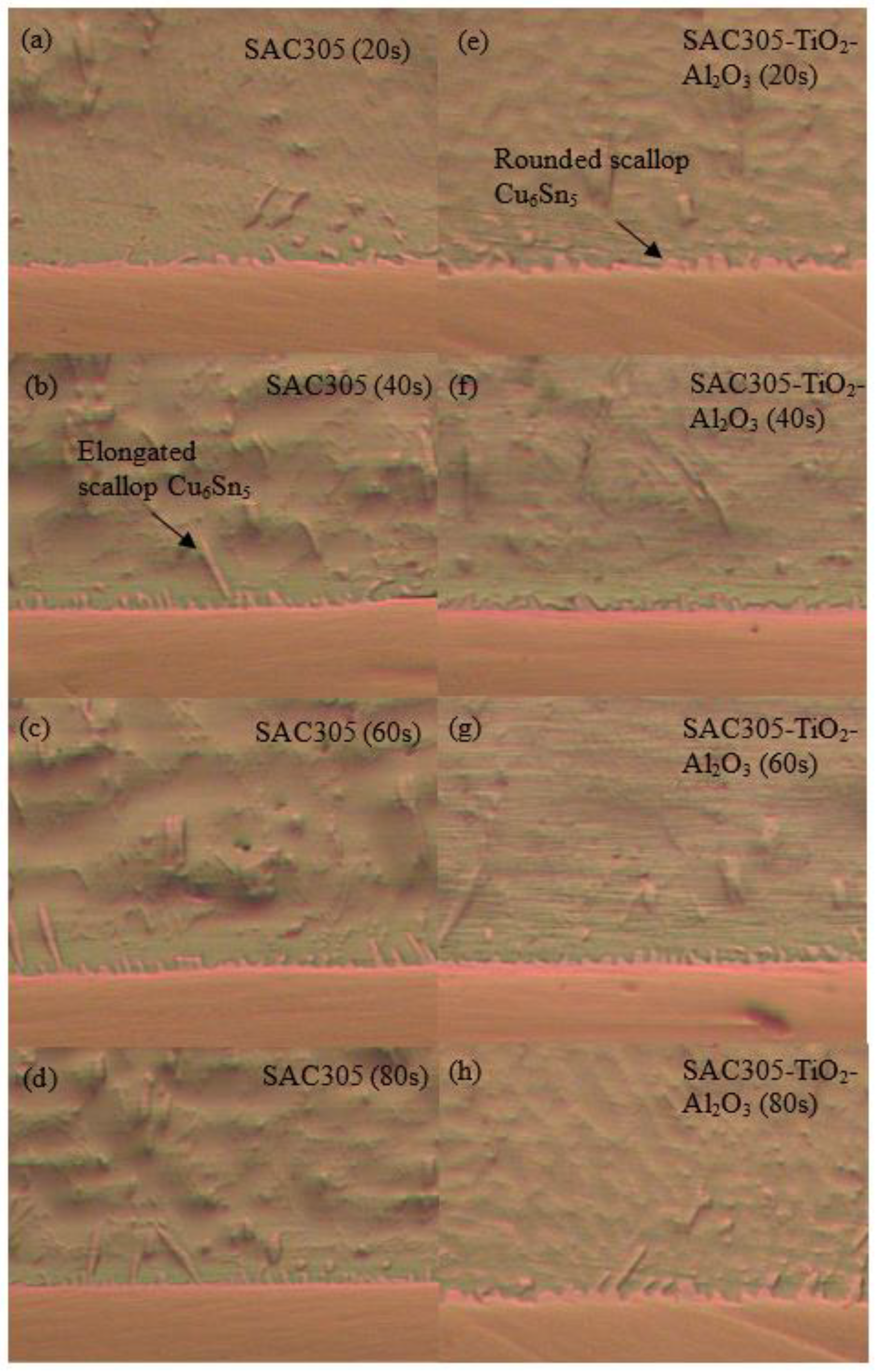 Nanomaterials 13 02811 g009