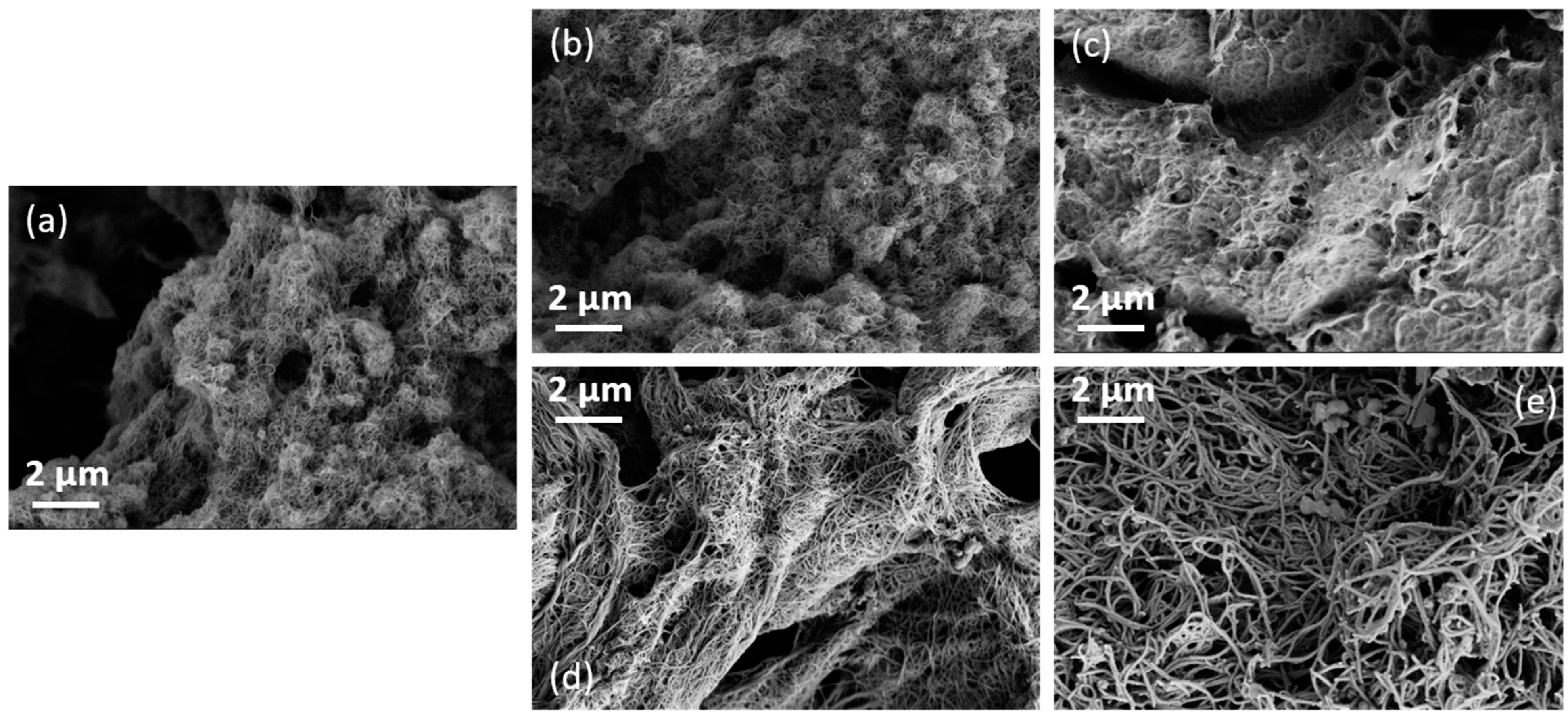 Nanomaterials 13 02813 g003