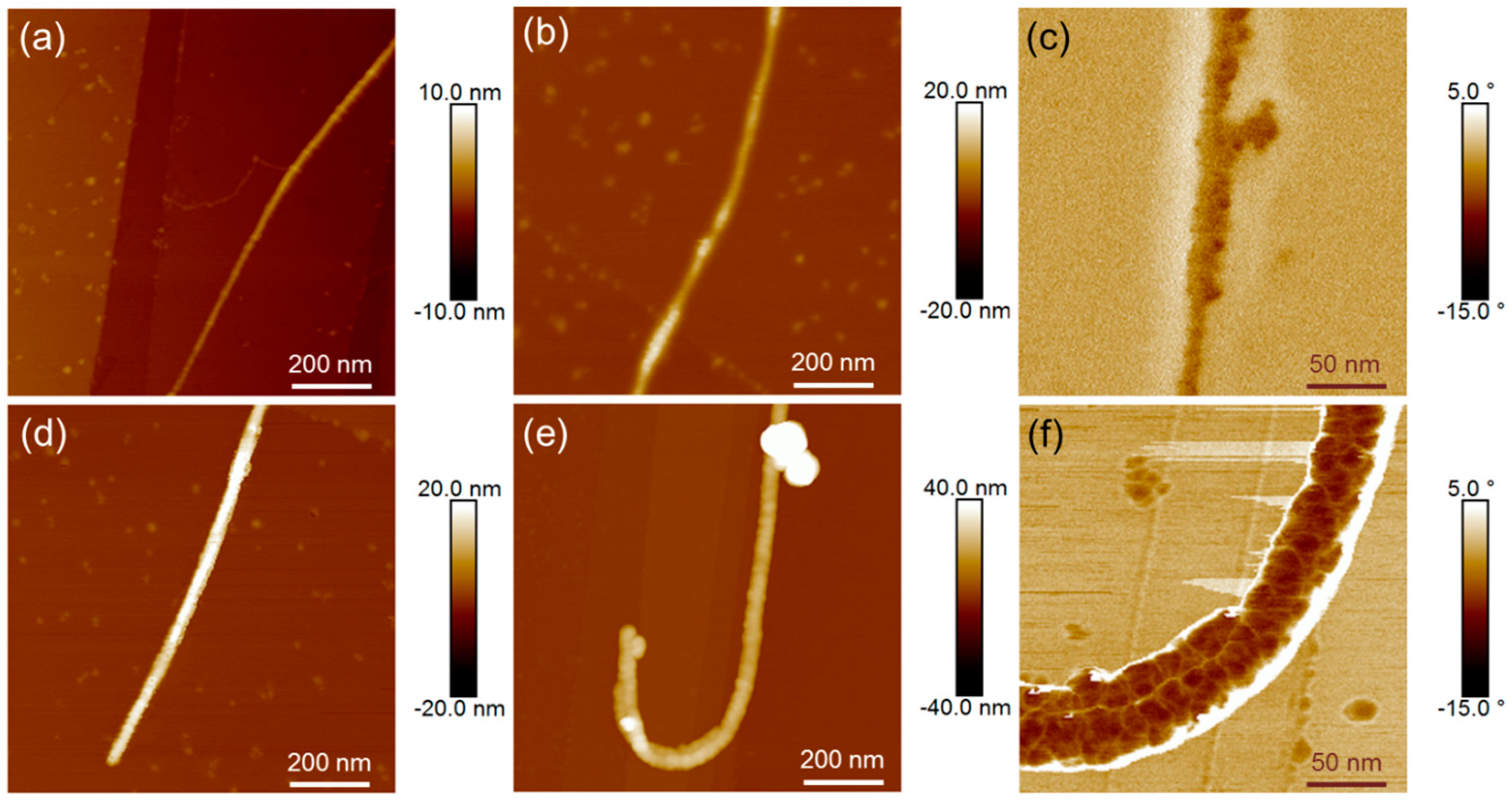 Nanomaterials 13 02813 g005