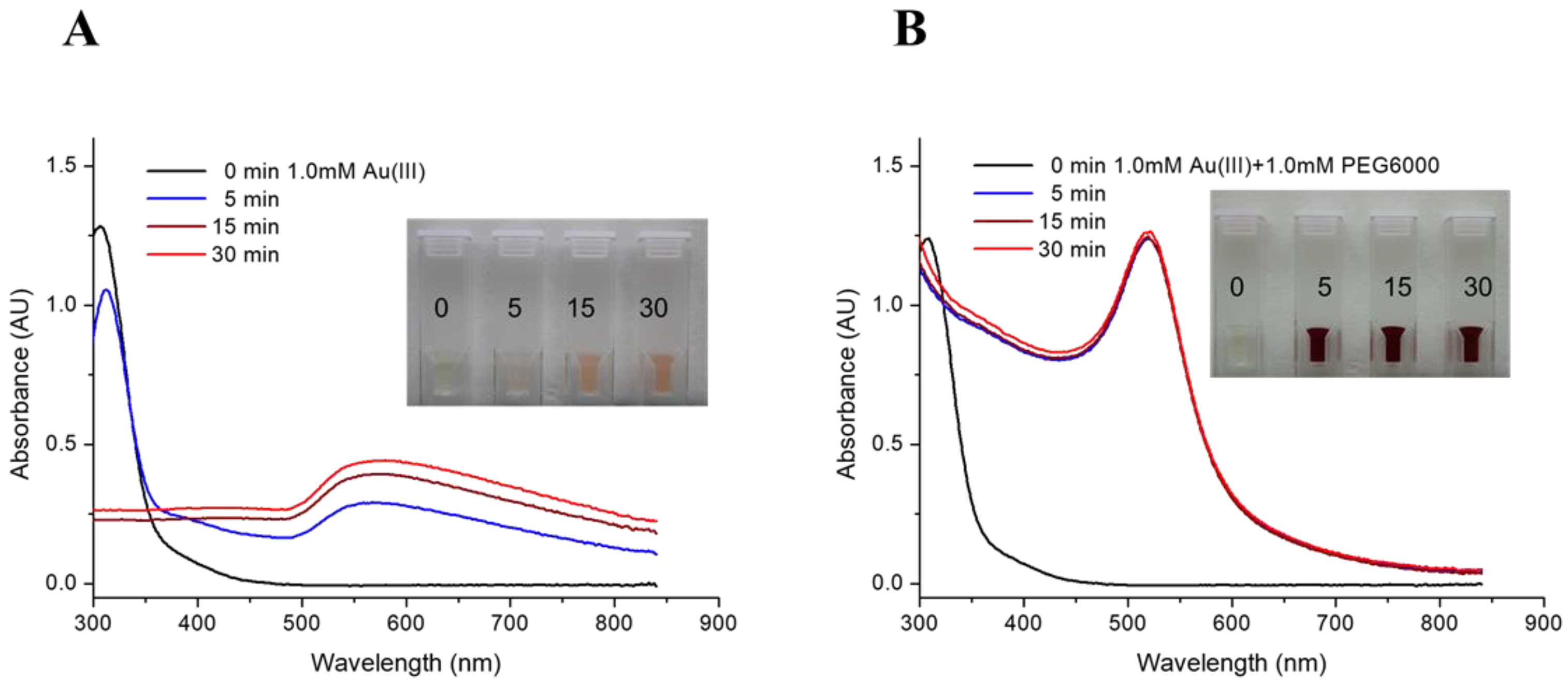 Nanomaterials 13 02821 g001