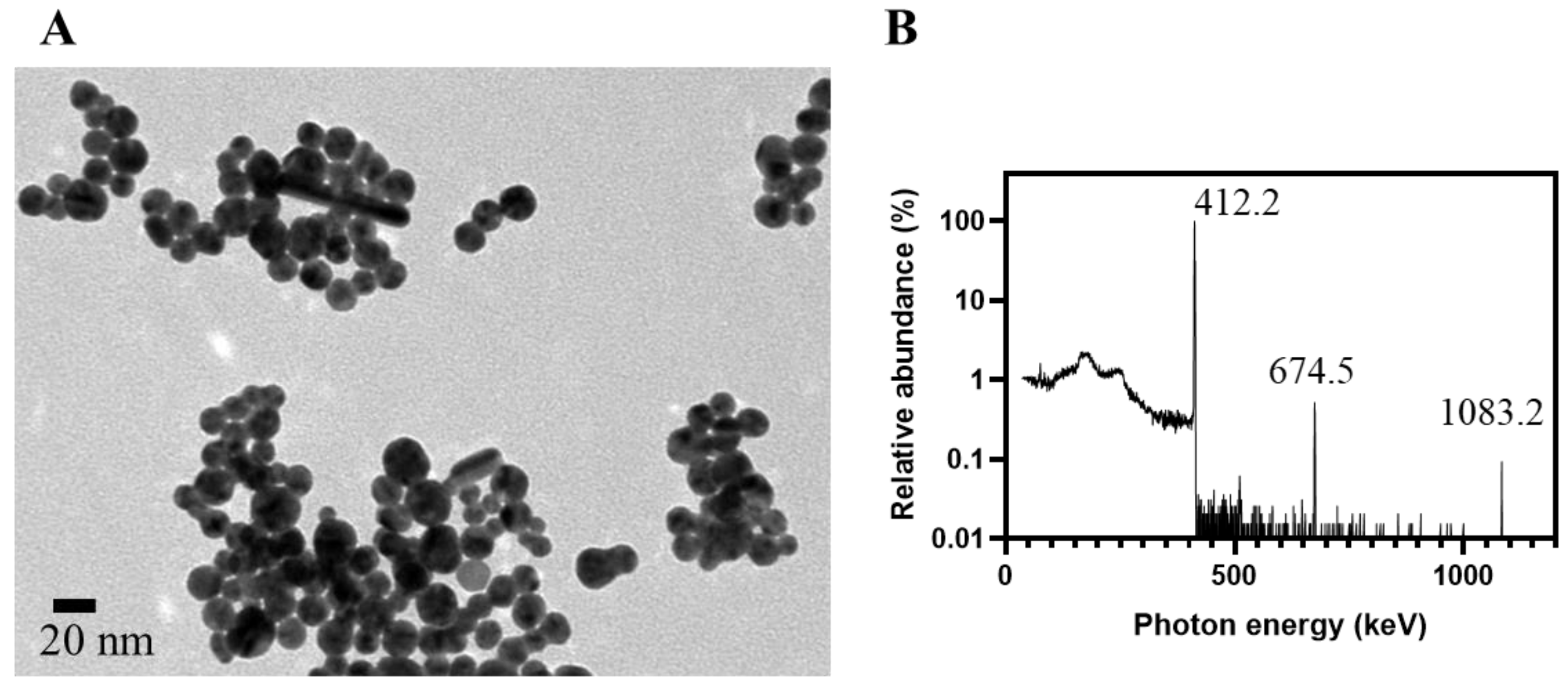 Nanomaterials 13 02821 g002