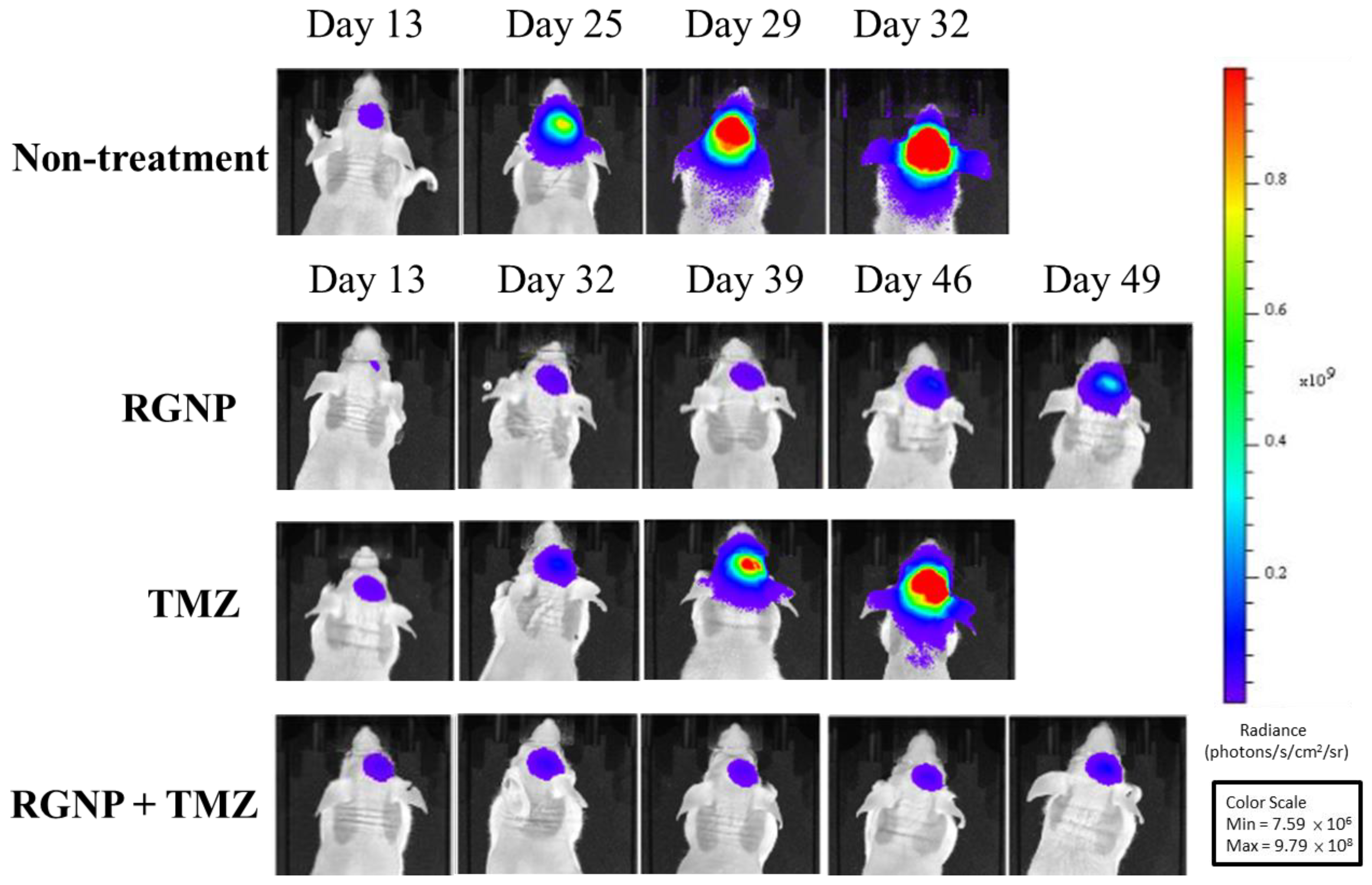 Nanomaterials 13 02821 g004