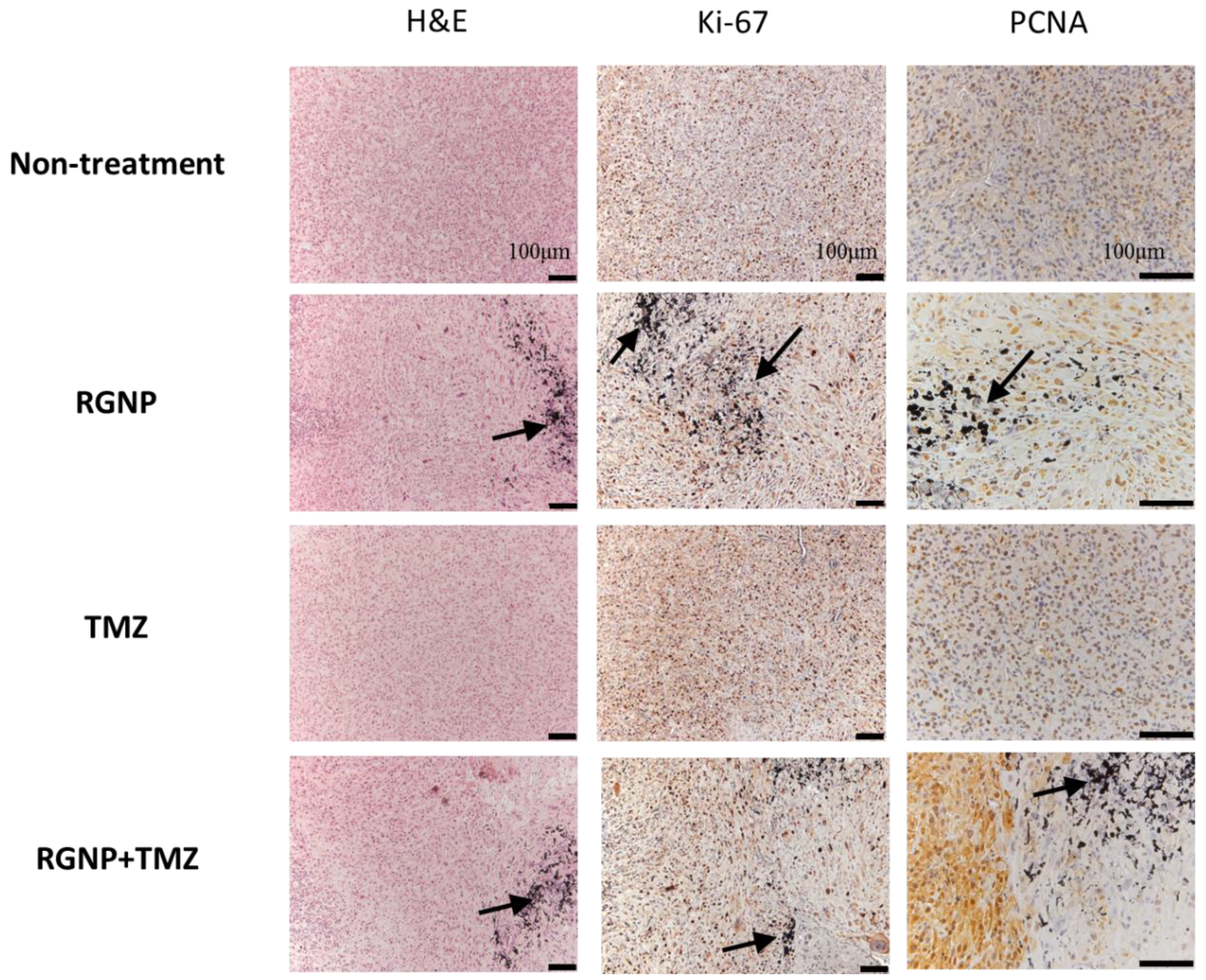 Nanomaterials 13 02821 g005