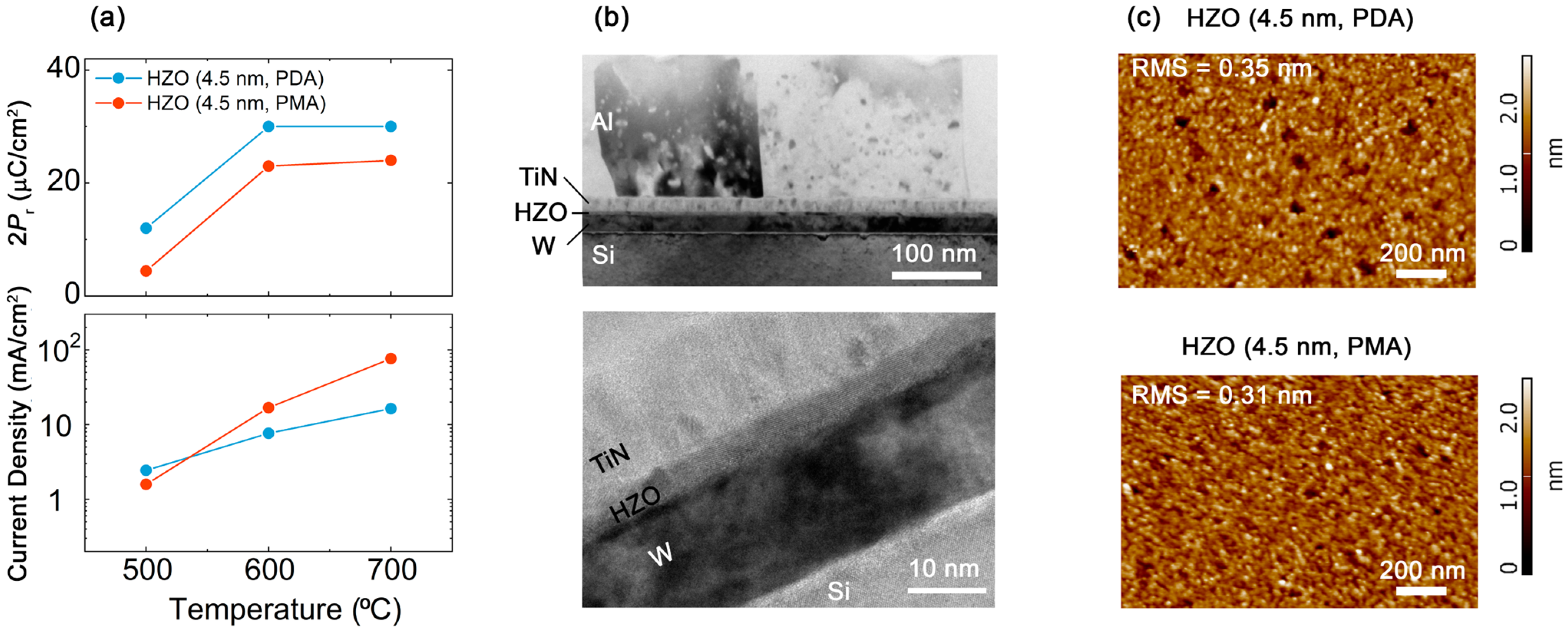 Nanomaterials 13 02825 g001