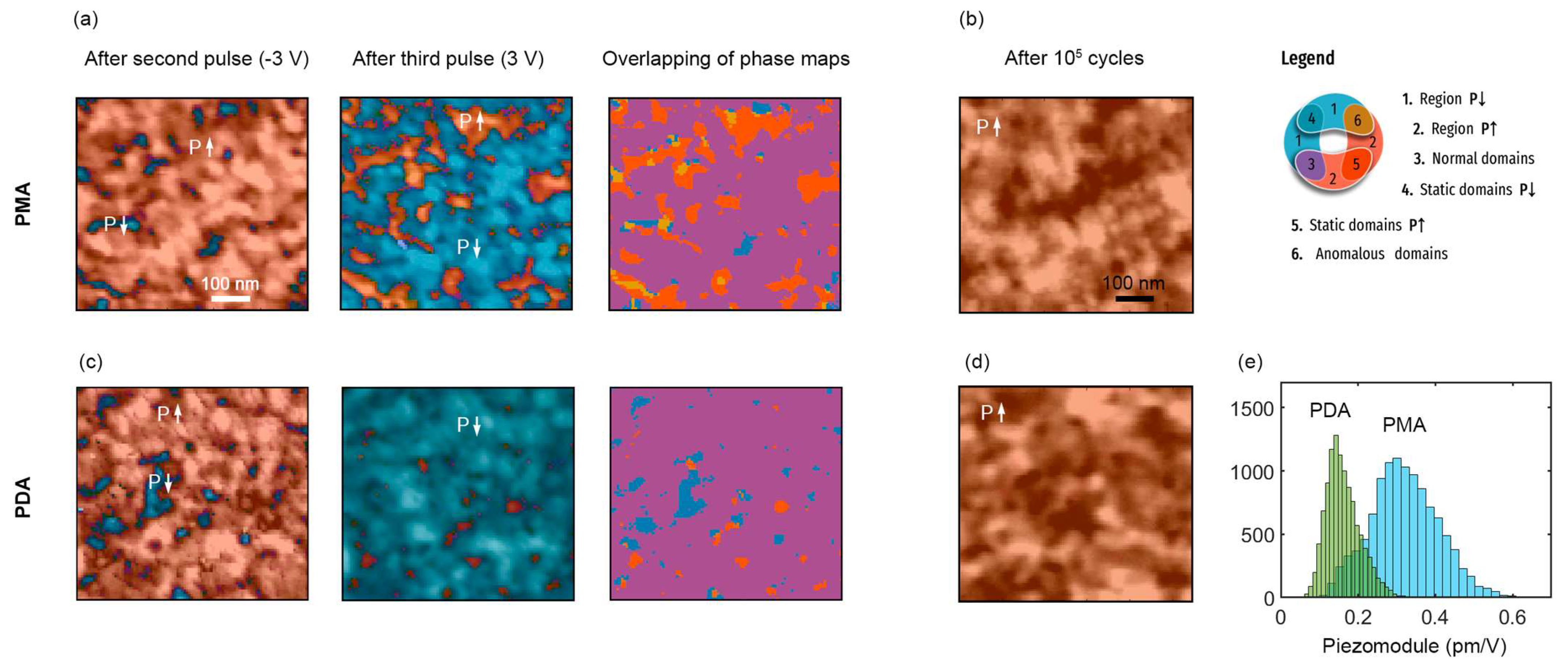 Nanomaterials 13 02825 g003