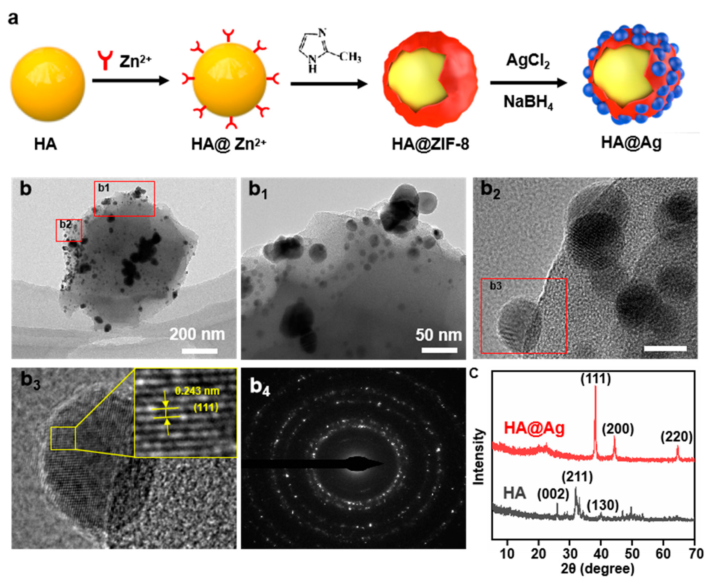 Nanomaterials 13 02828 g001
