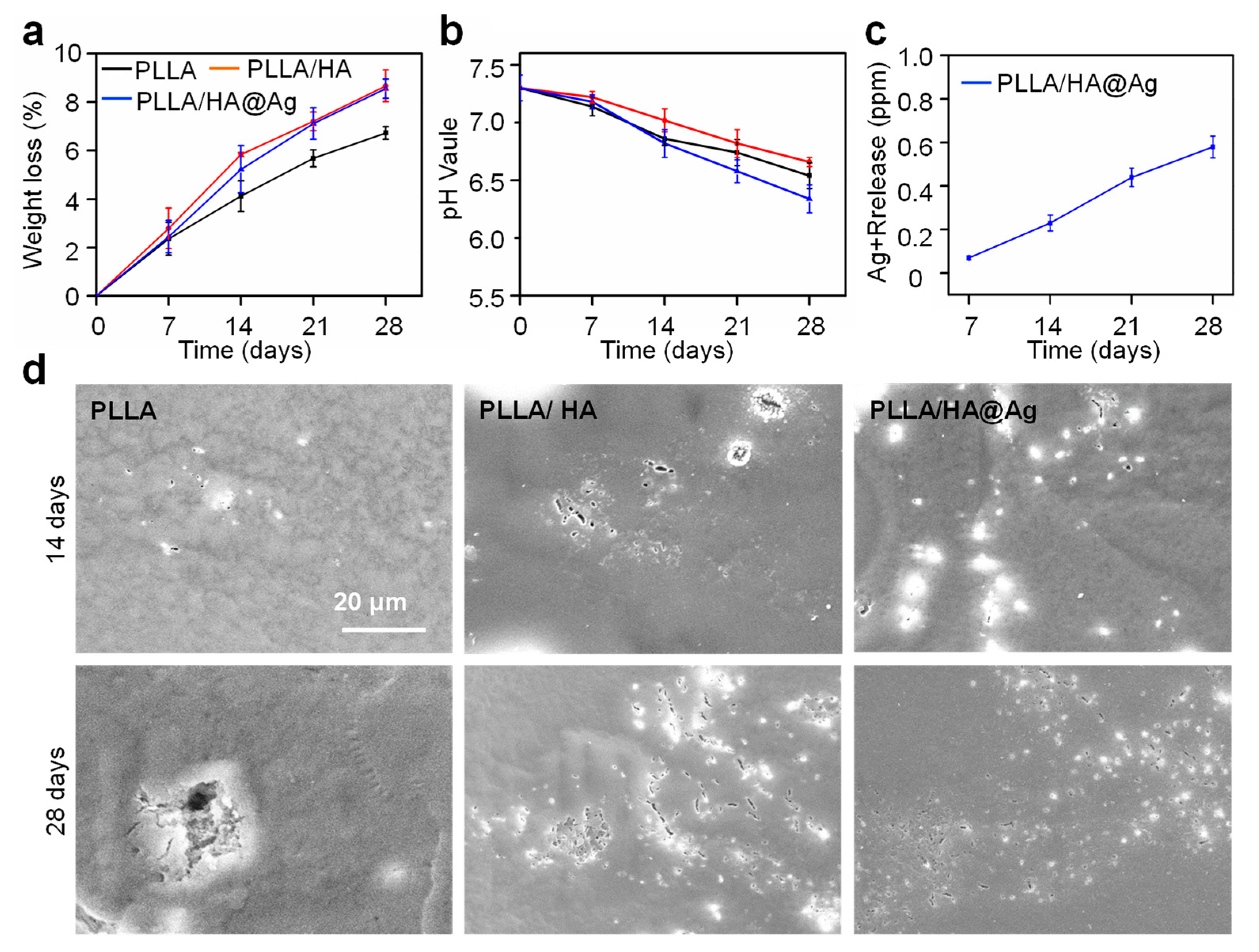 Nanomaterials 13 02828 g005