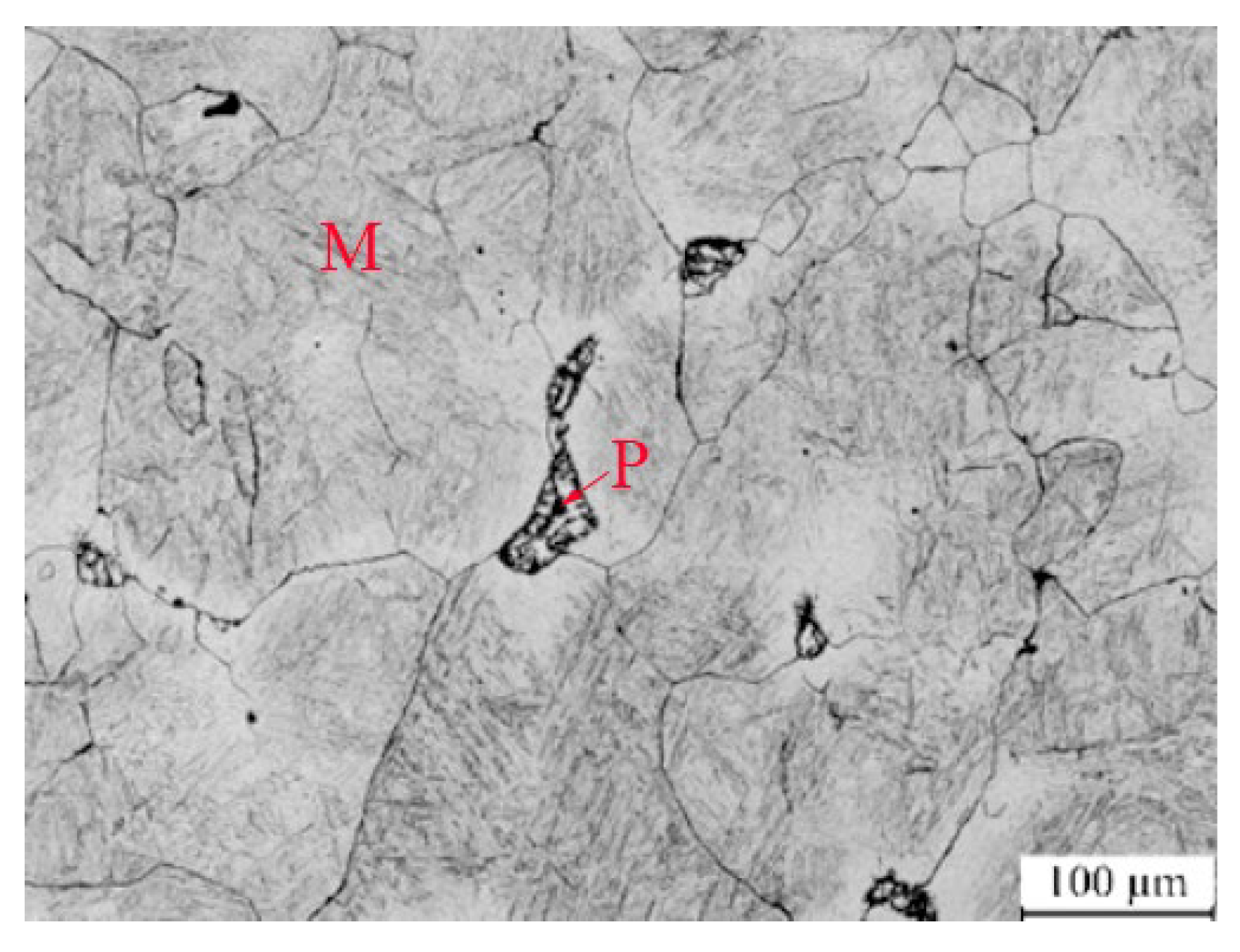 Nanomaterials 13 02829 g005