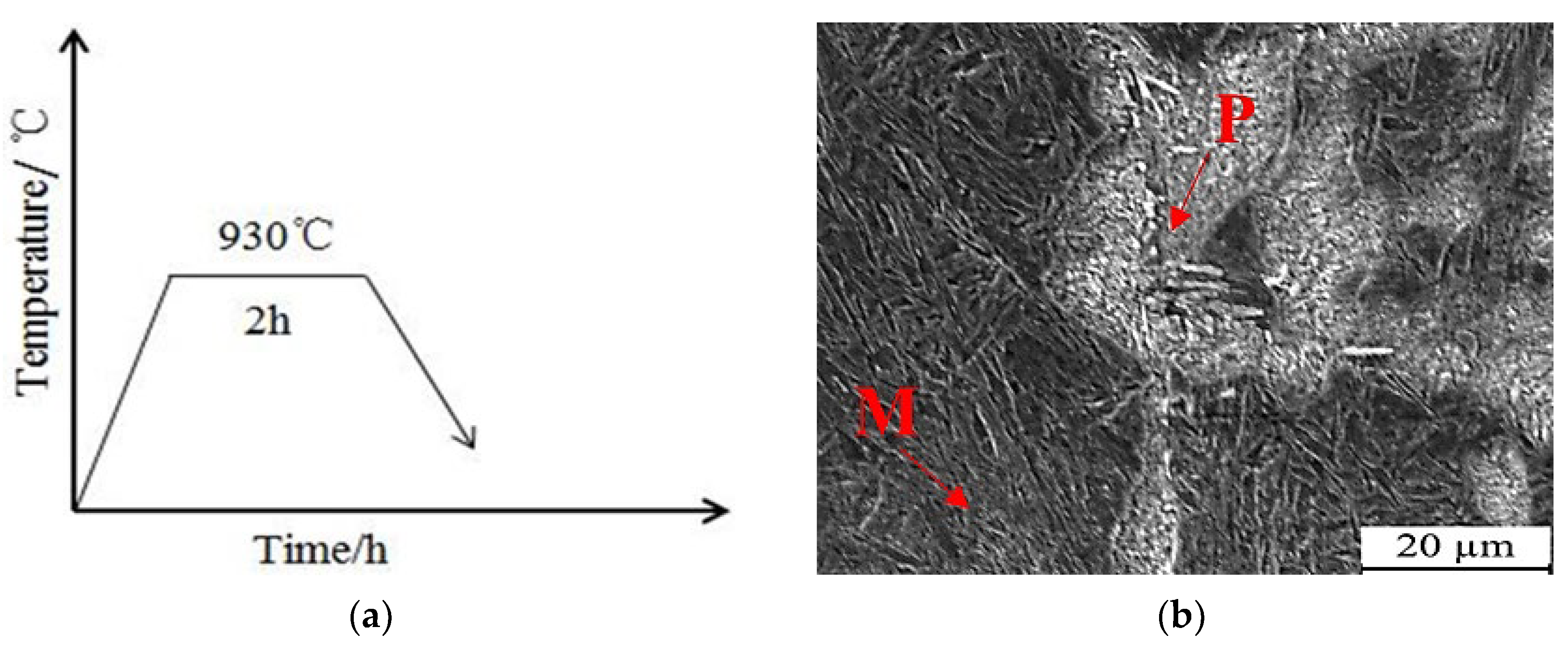 Nanomaterials 13 02829 g006