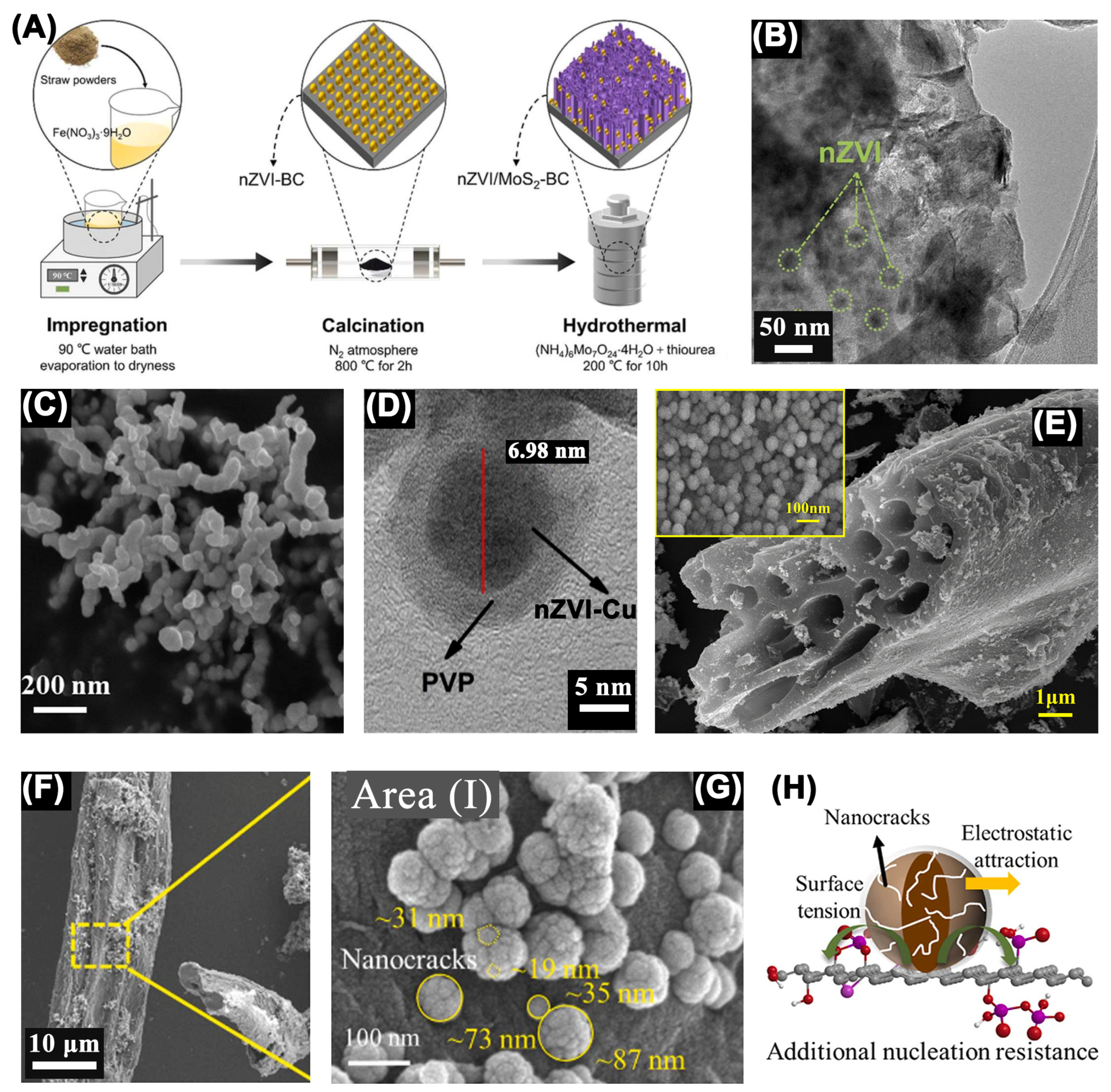 Nanomaterials 13 02830 g001