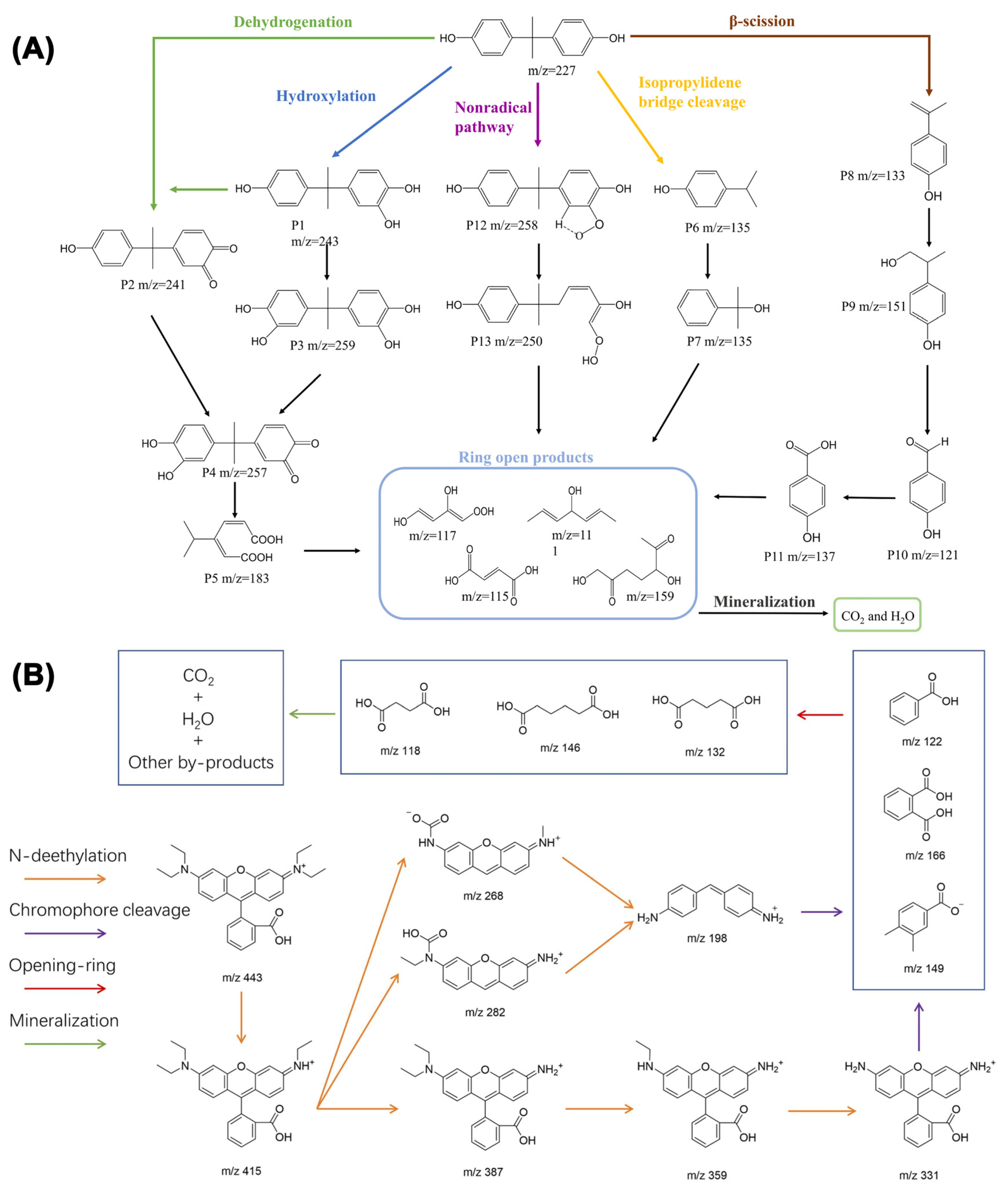 Nanomaterials 13 02830 g007