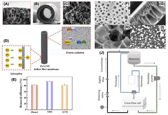Nanomaterials 13 02830 g010