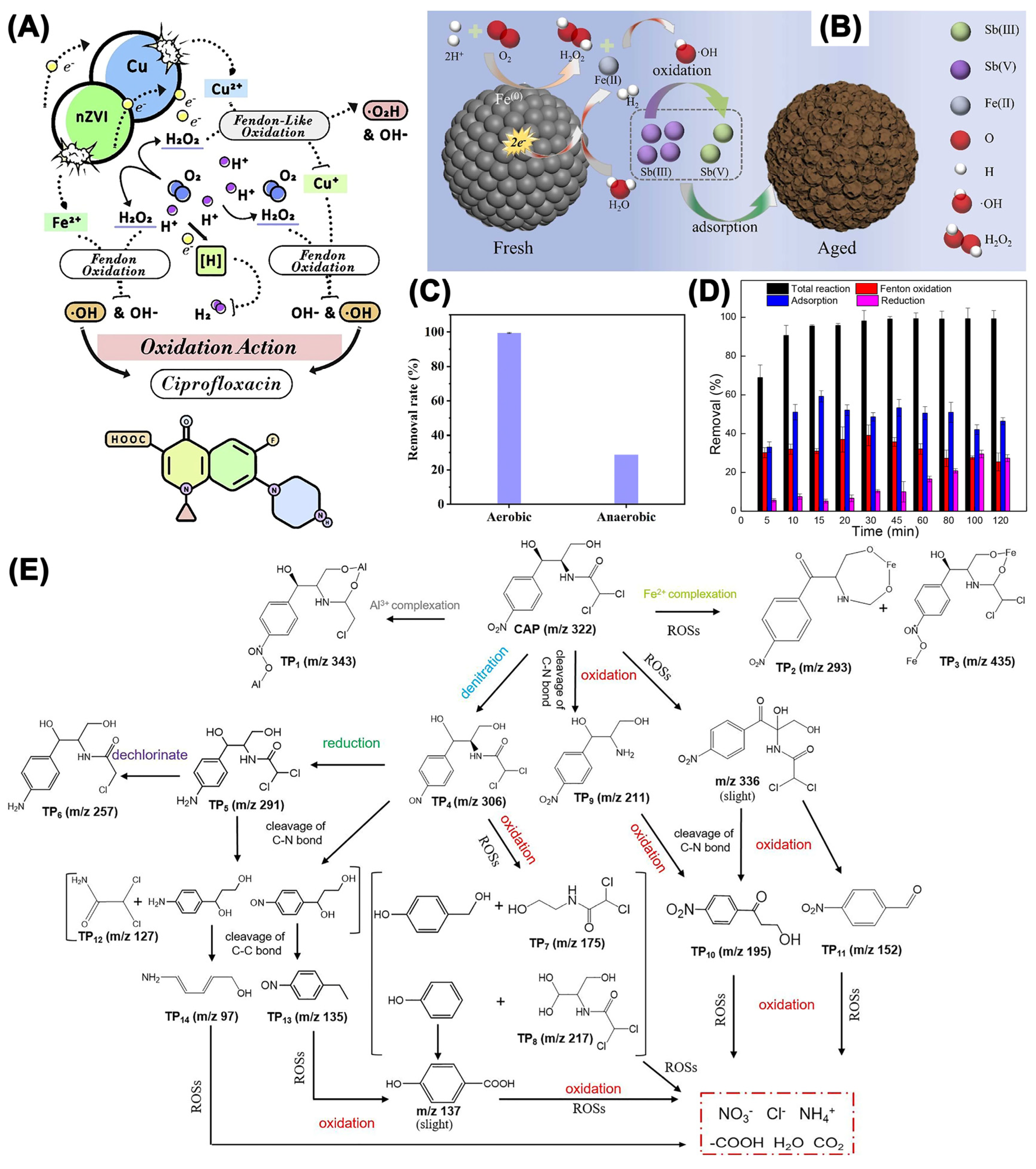 Nanomaterials 13 02830 g013