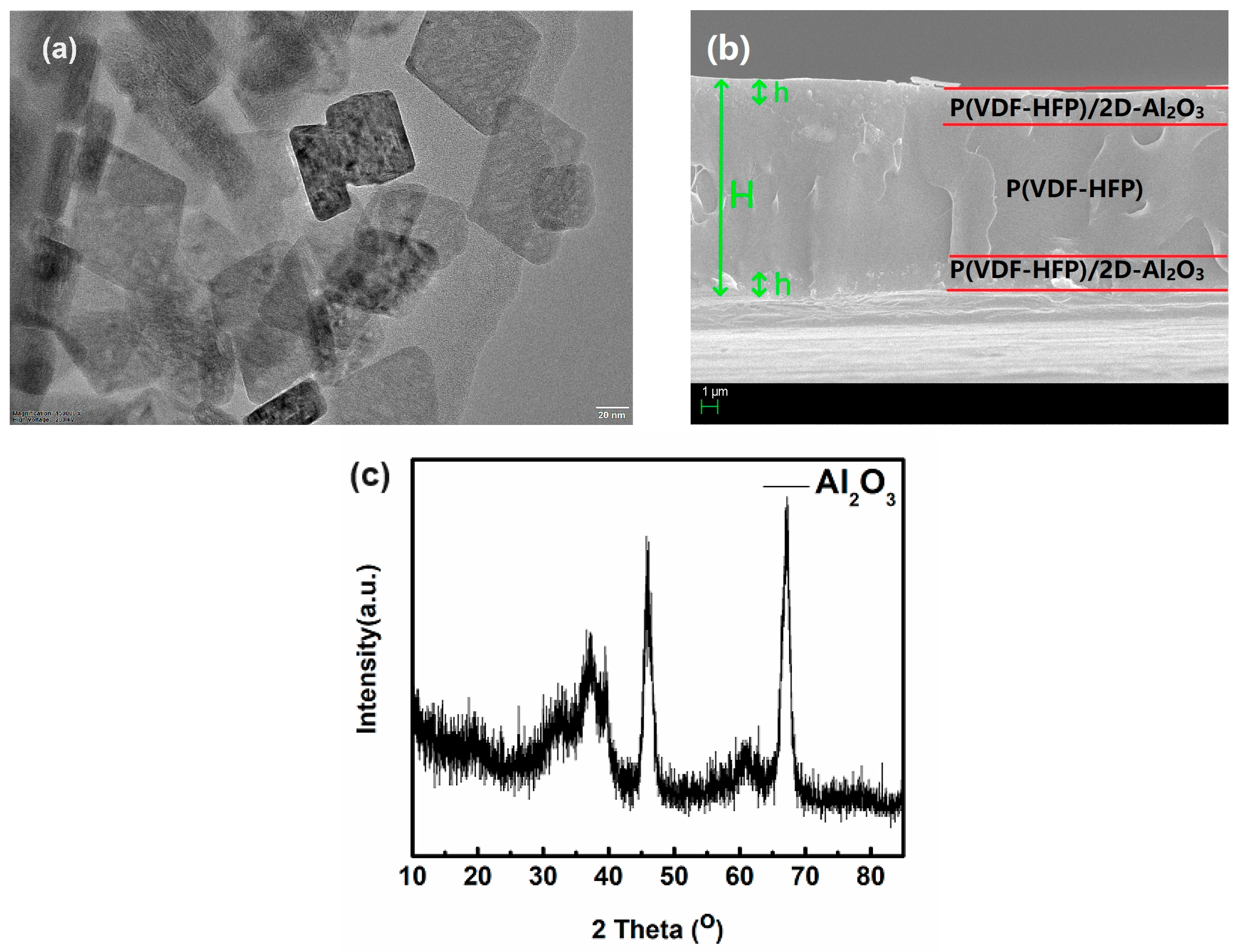 Nanomaterials 13 02836 g002
