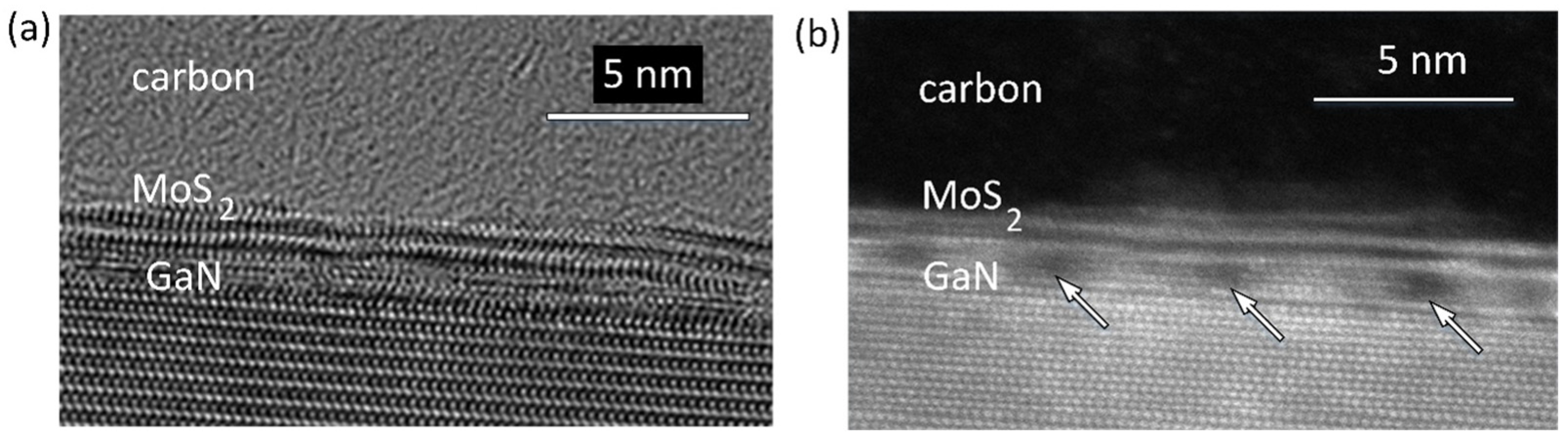 Nanomaterials 13 02837 g004