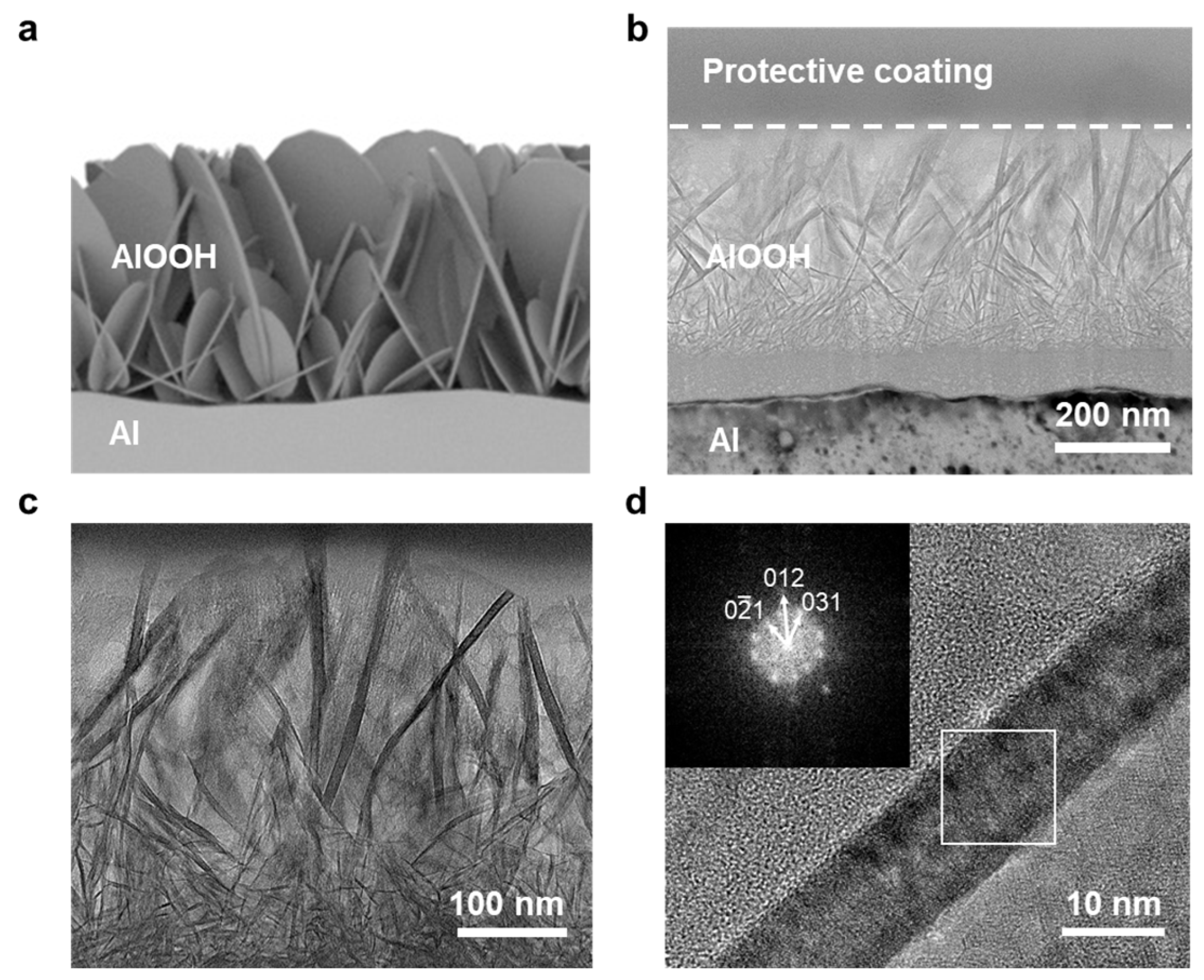 Nanomaterials 13 02838 g002