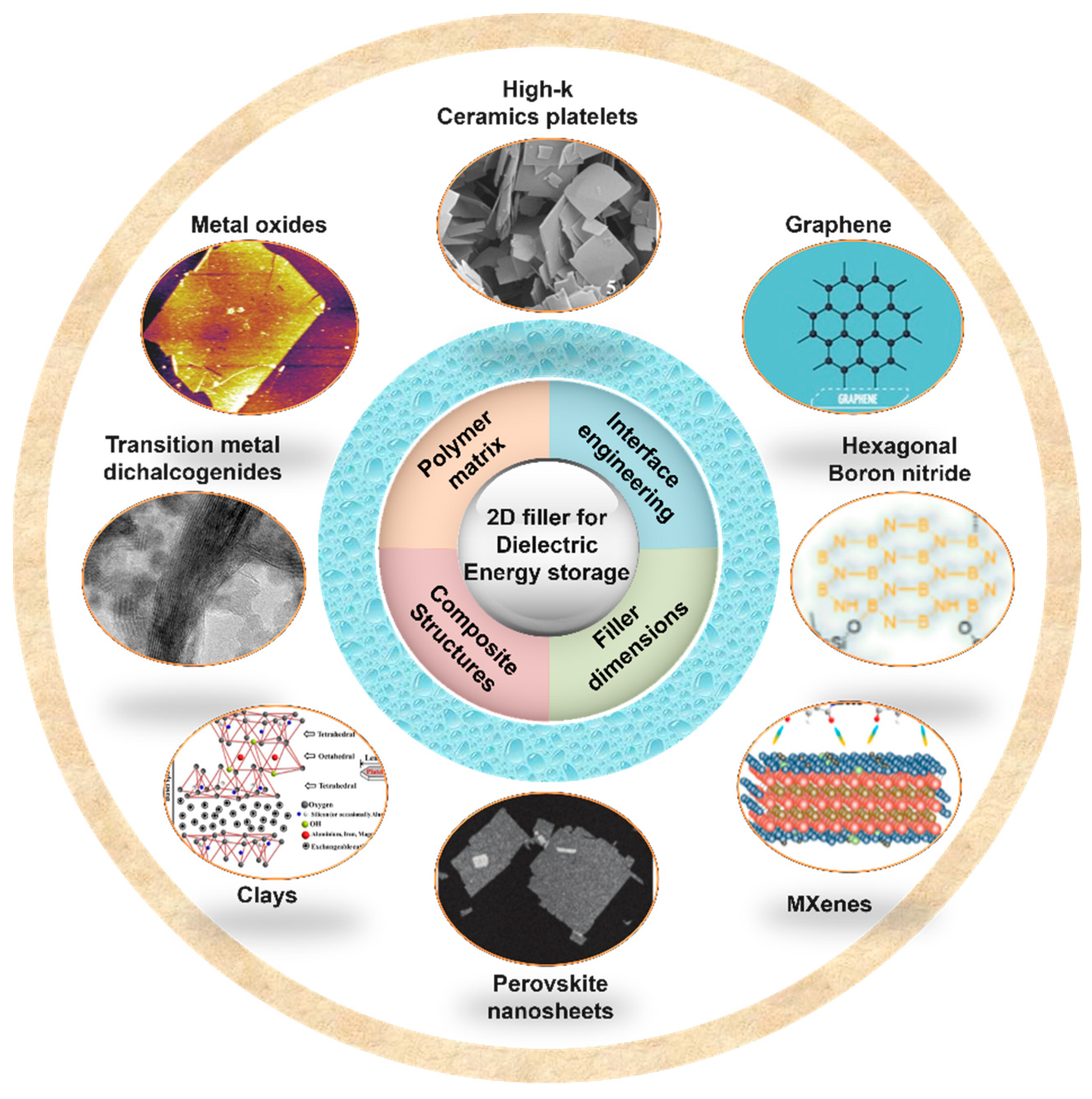 Nanomaterials 13 02842 g003