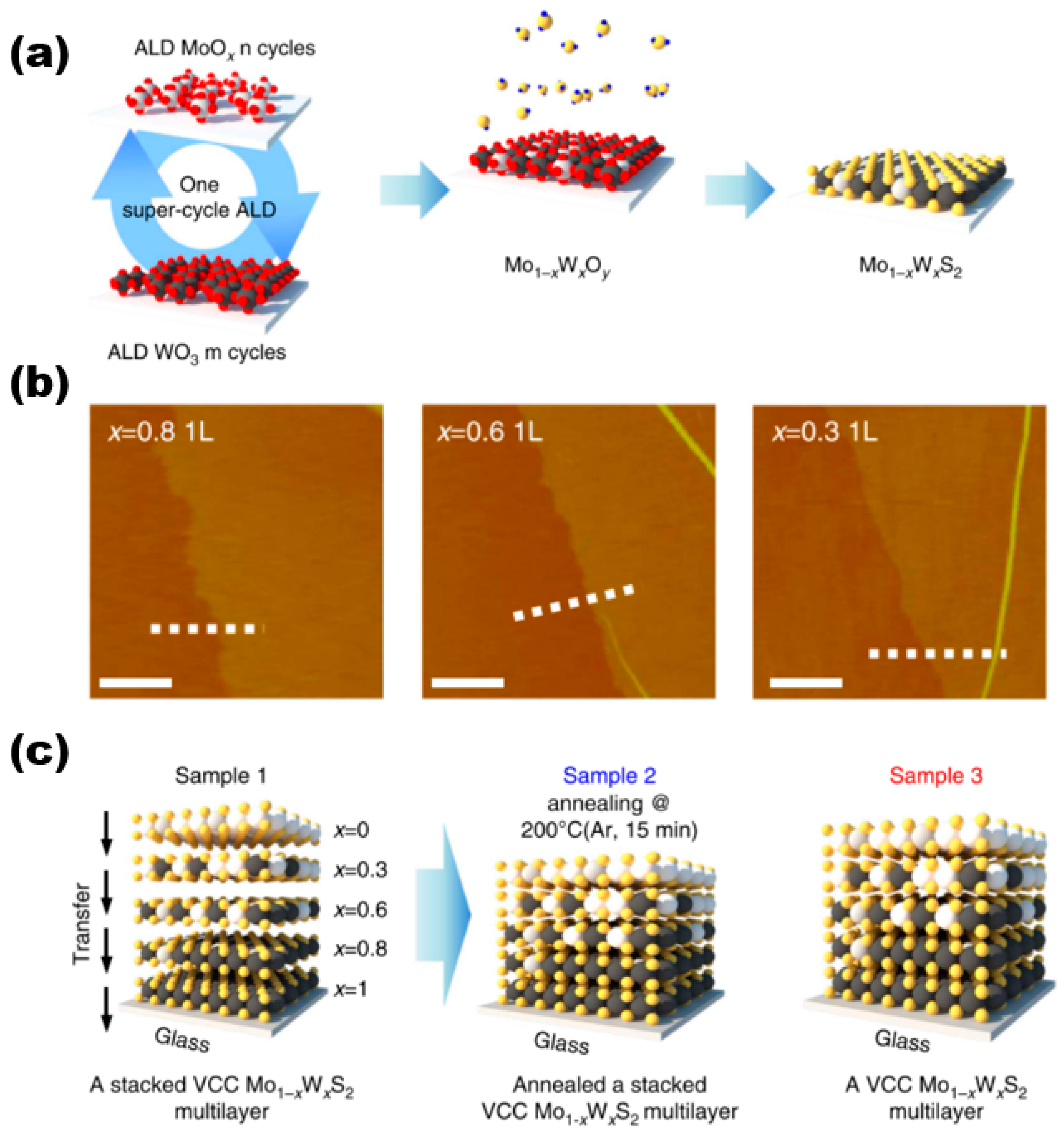 Nanomaterials 13 02843 g005