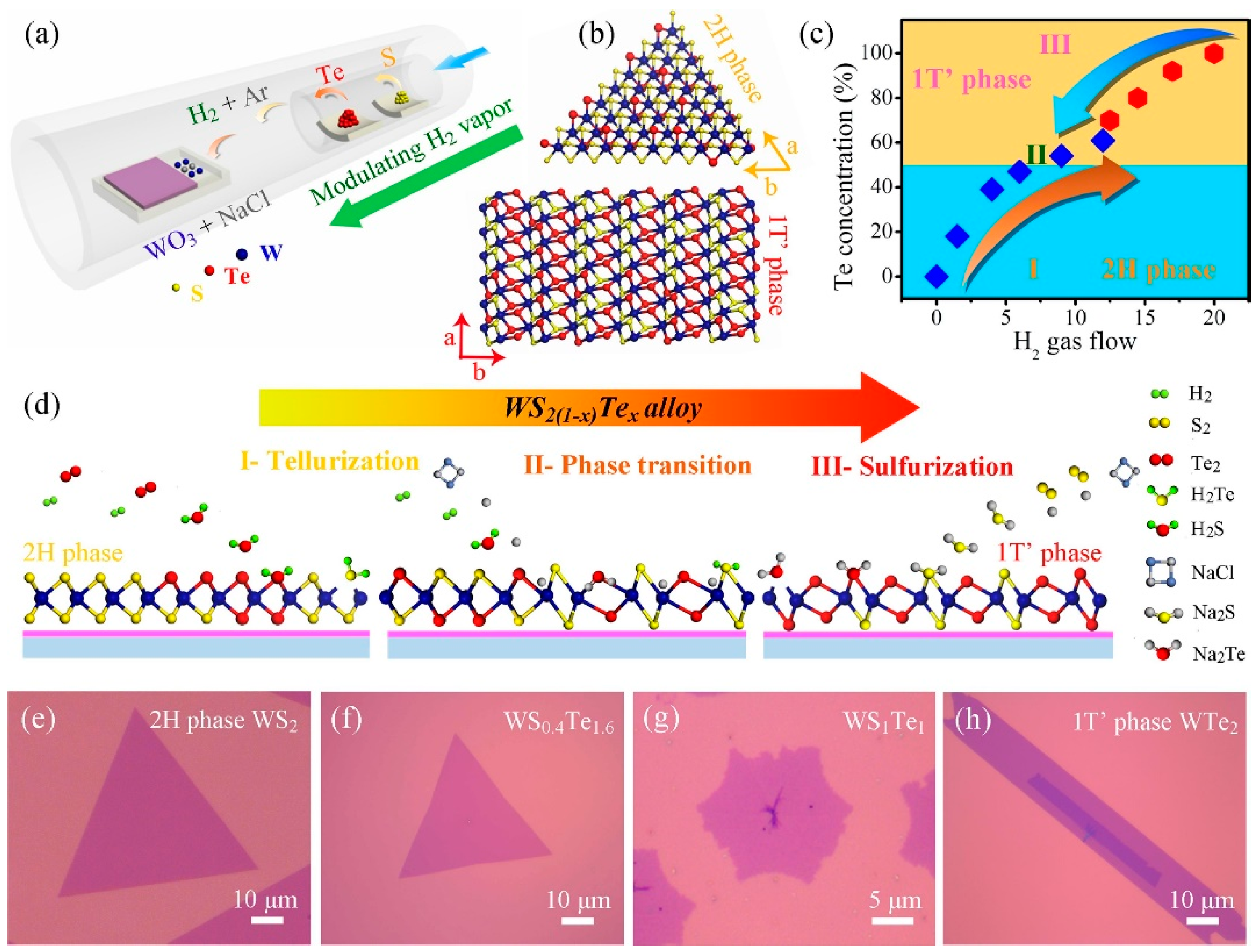 Nanomaterials 13 02843 g014